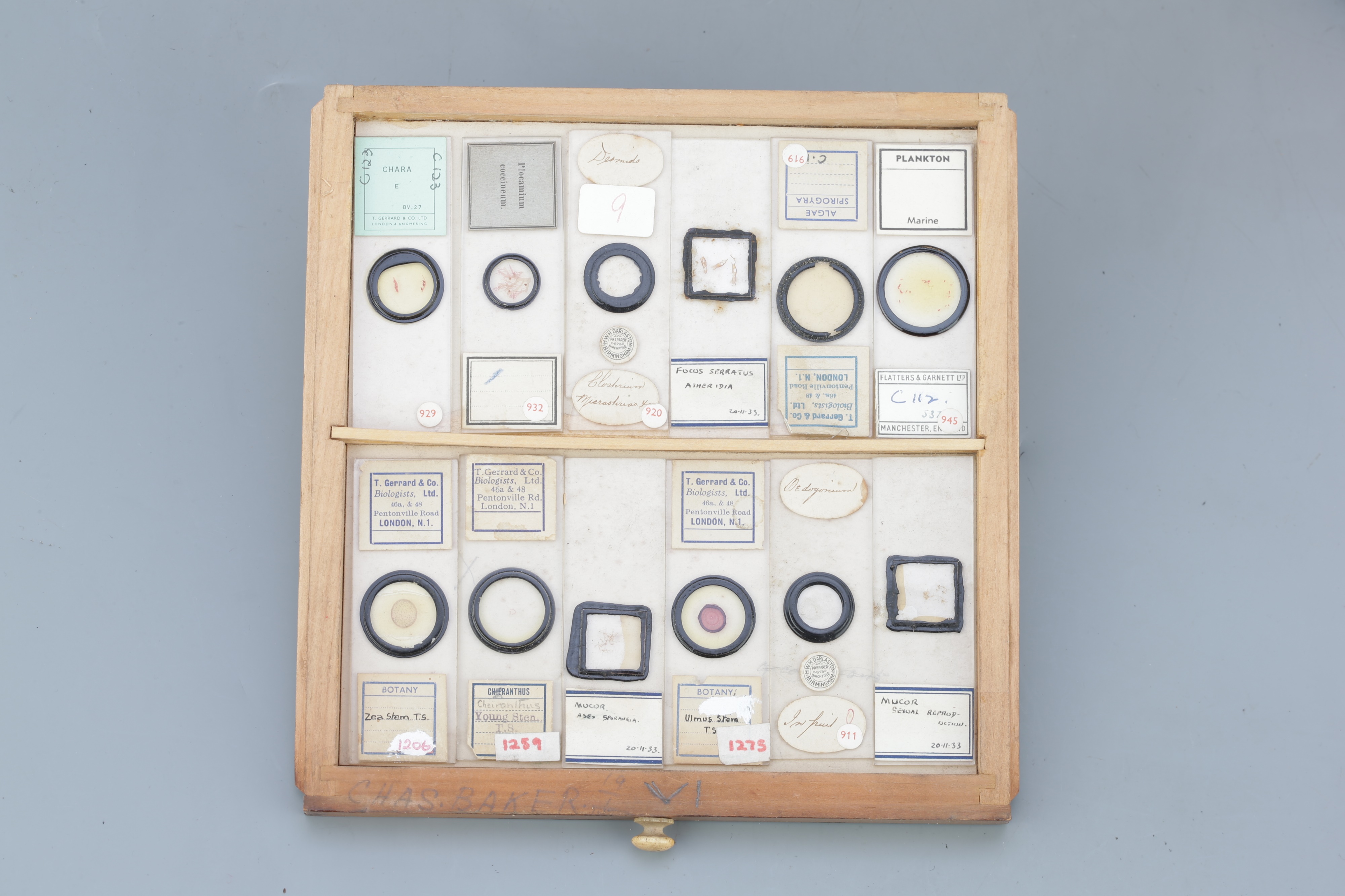 Small Cabinet of Microscope Slides, - Image 4 of 13