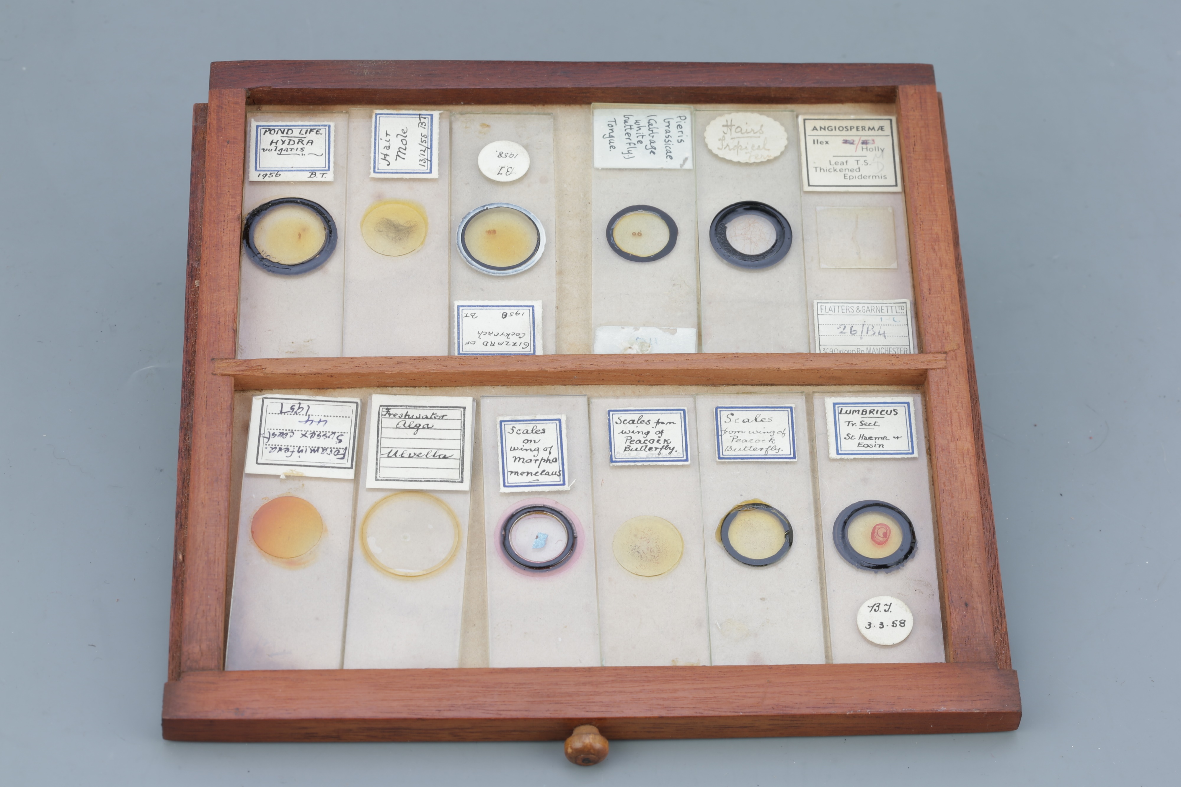 Microscope SlideCabinet & Slide Collection, - Image 9 of 15