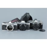 Three Olympus OM SLR Cameras