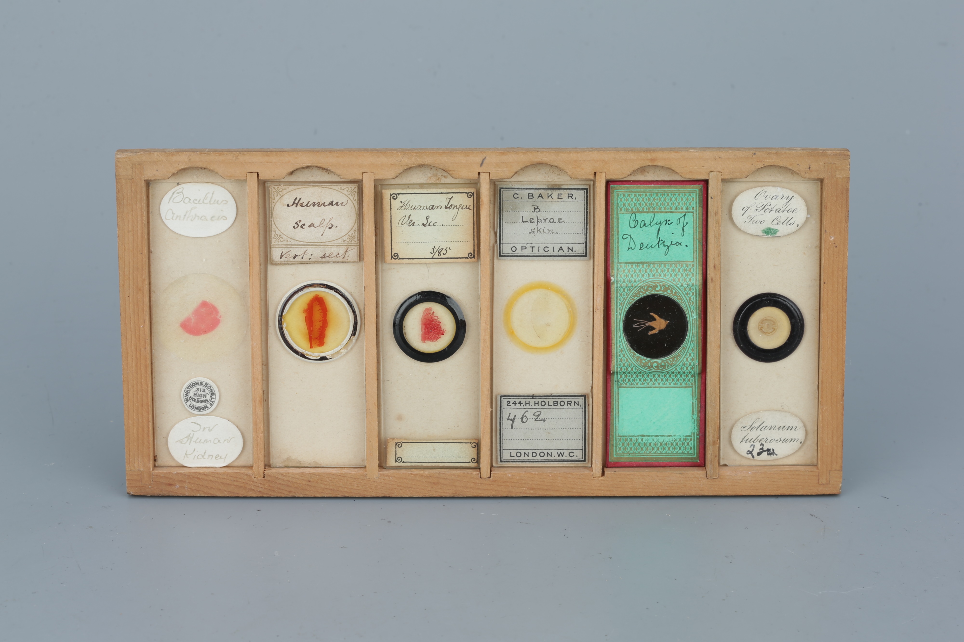 Two Cases of Microscope Slides, - Image 19 of 20