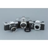 Three SLR Cameras