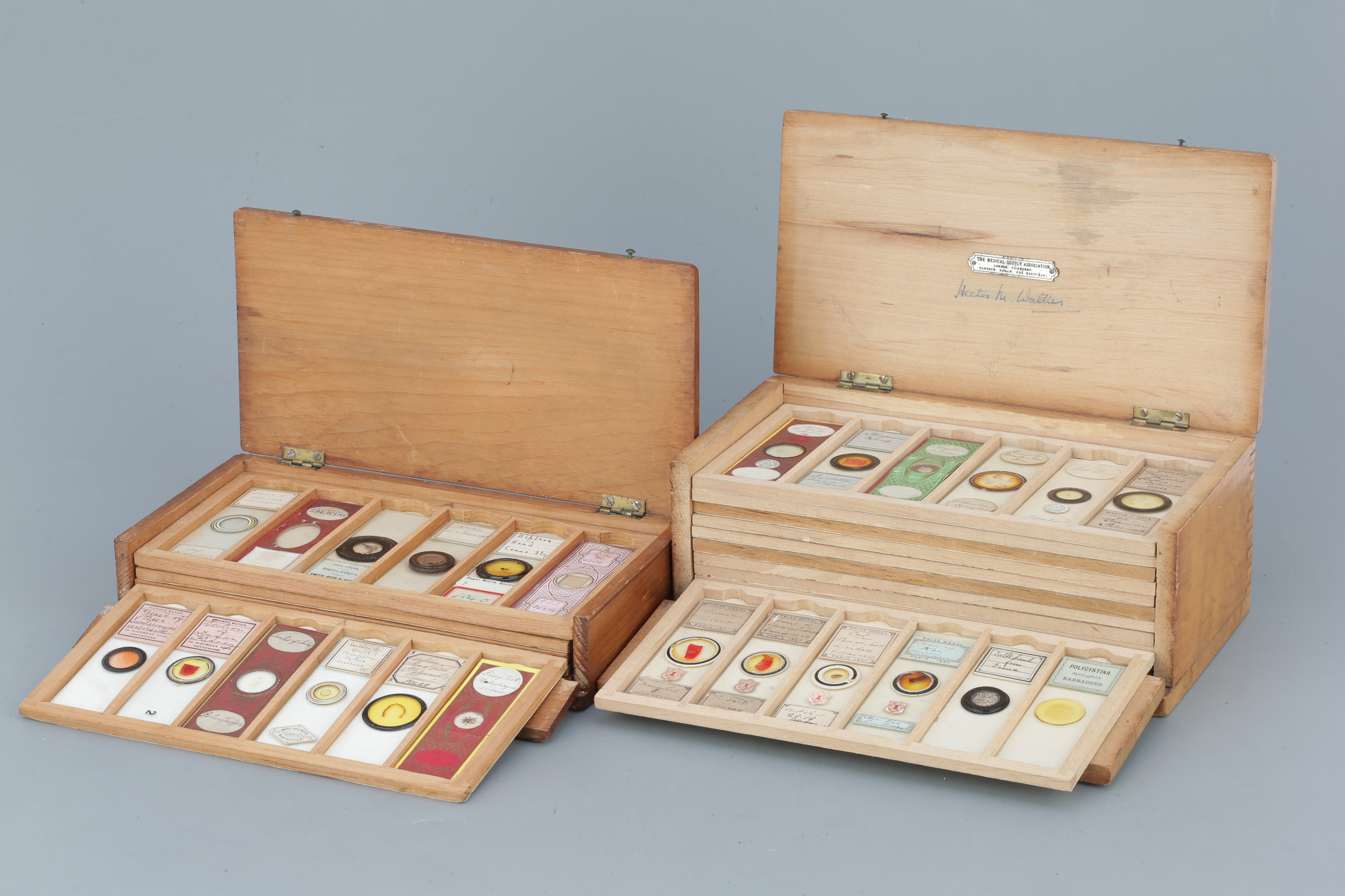 Two Cases of Microscope Slides,