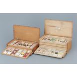 Two Cases of Microscope Slides,