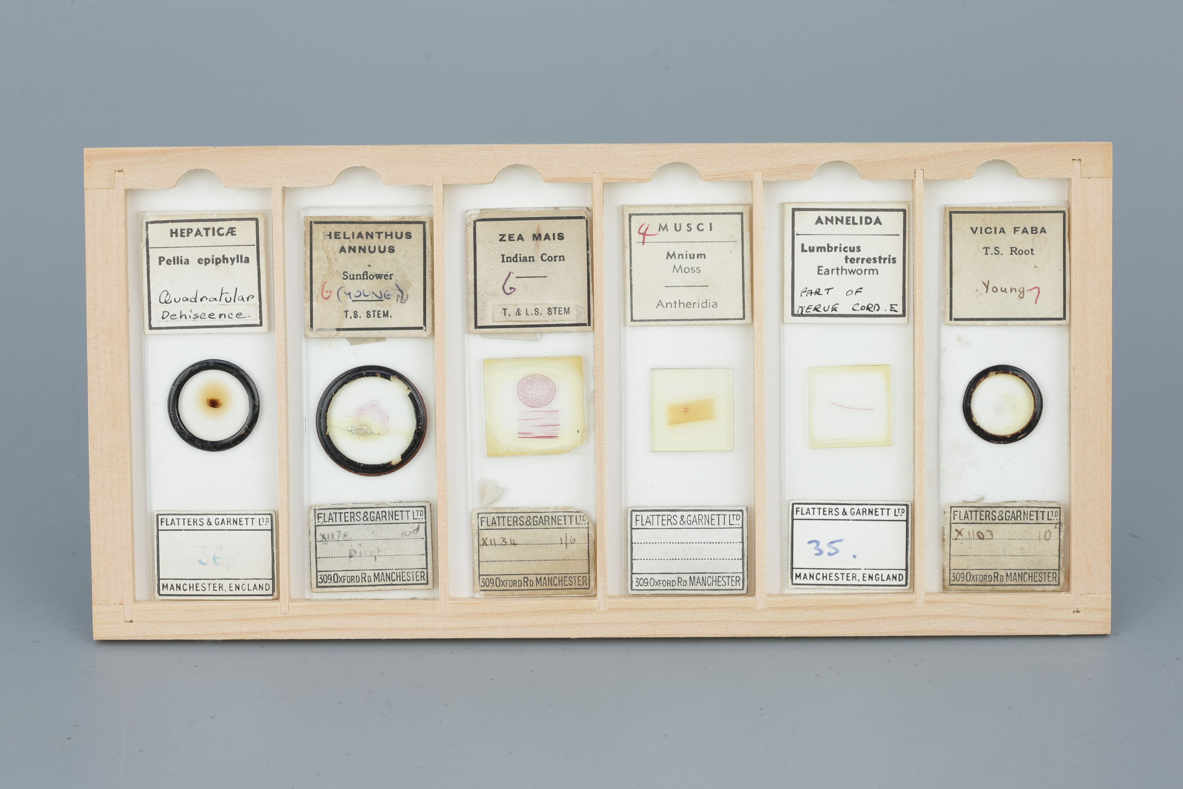 Two Cases of Microscope Slides, - Image 15 of 20