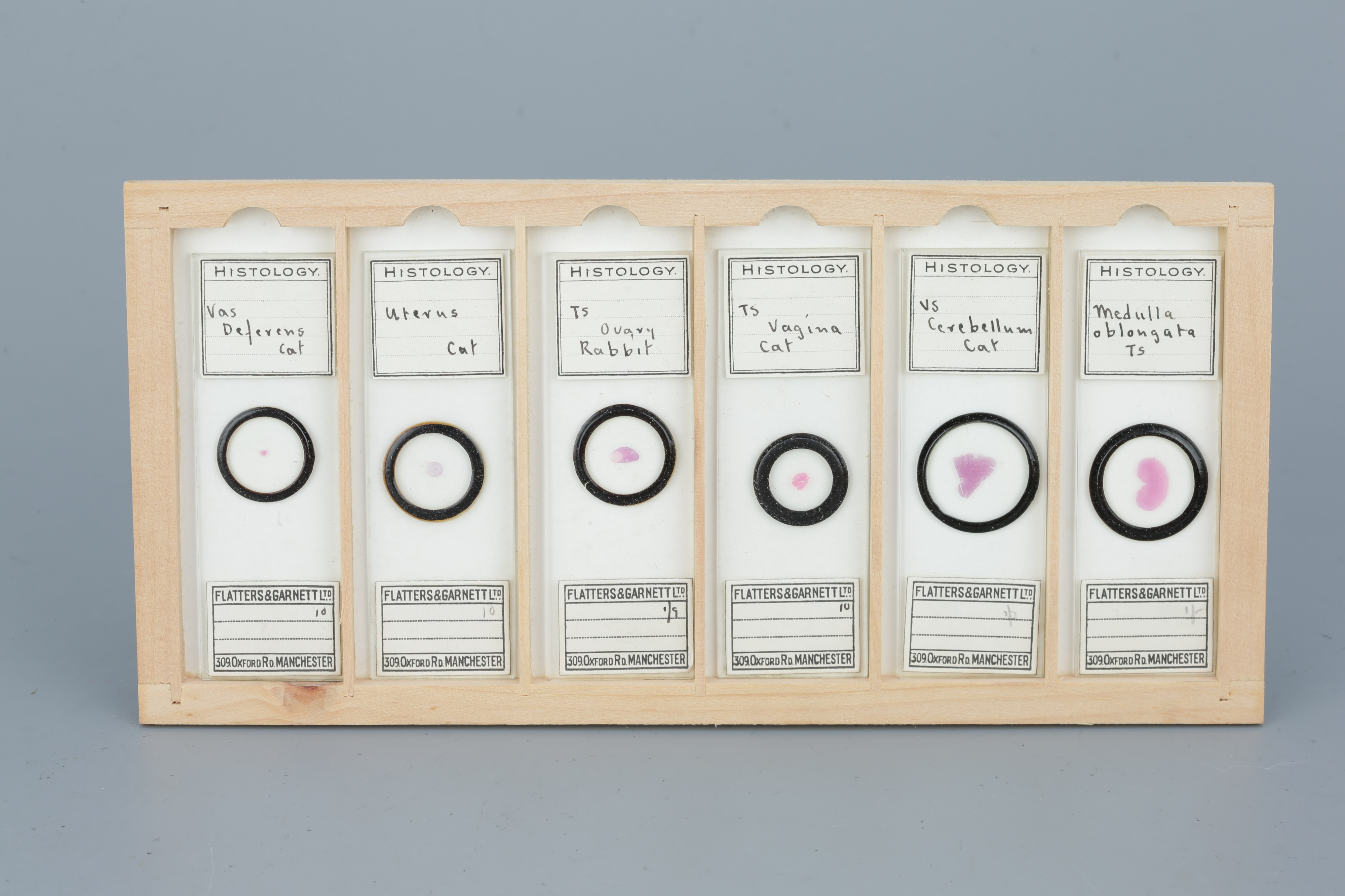 Two Cases of Microscope Slides, - Image 16 of 20