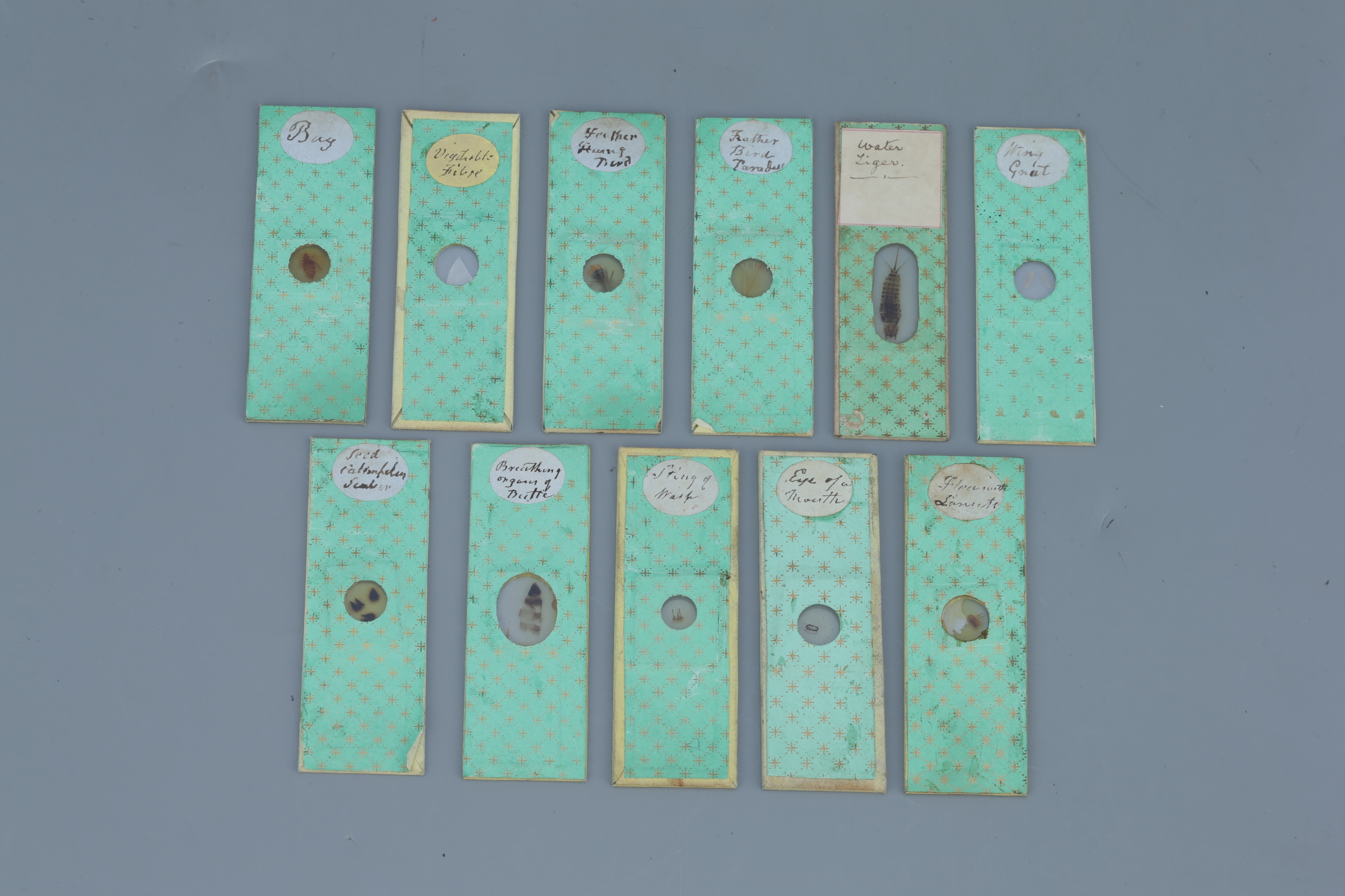 An Early Collection of Microscope Slides, - Image 2 of 4