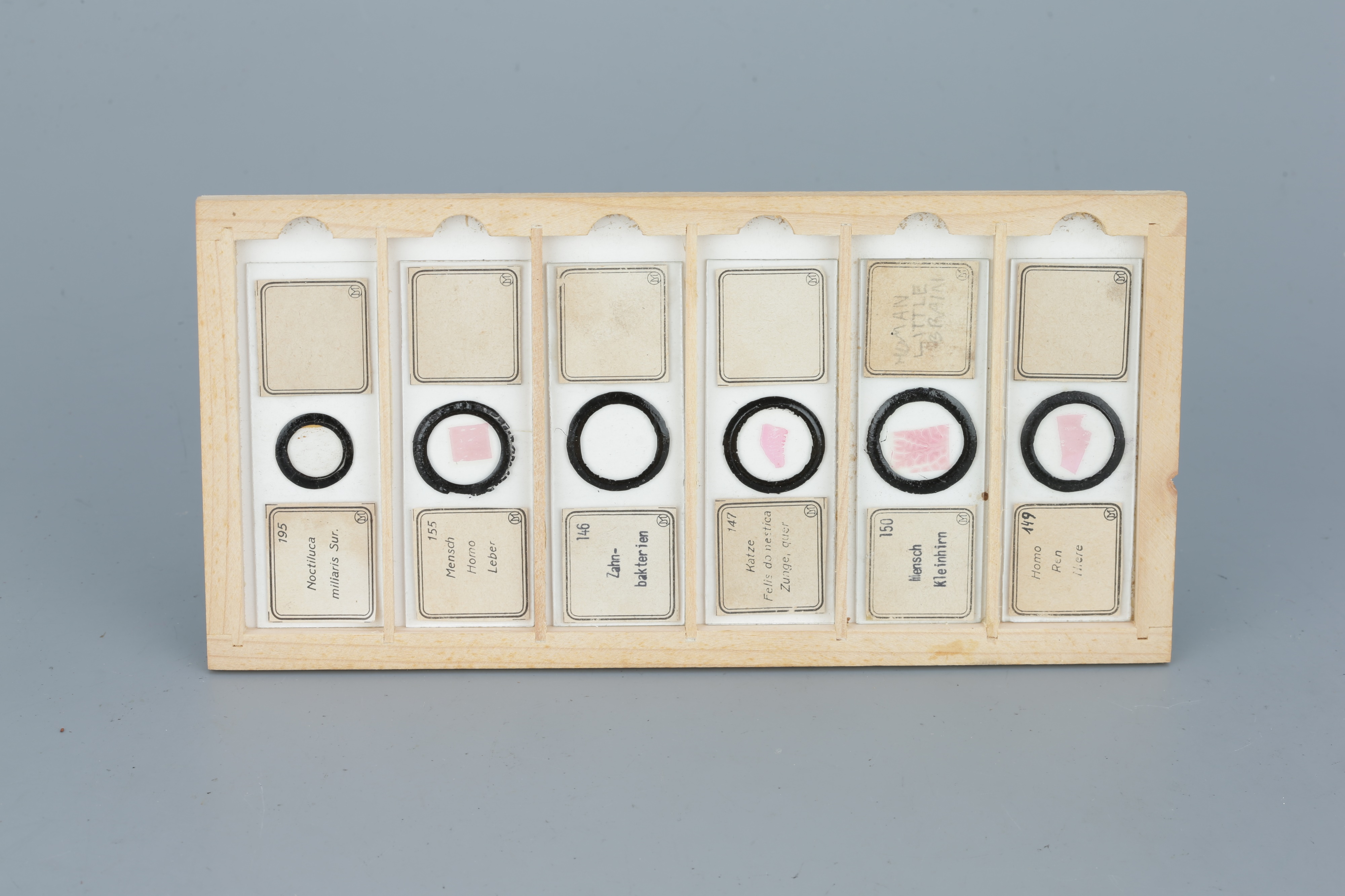 Two Cases of Microscope Slides, - Image 14 of 20