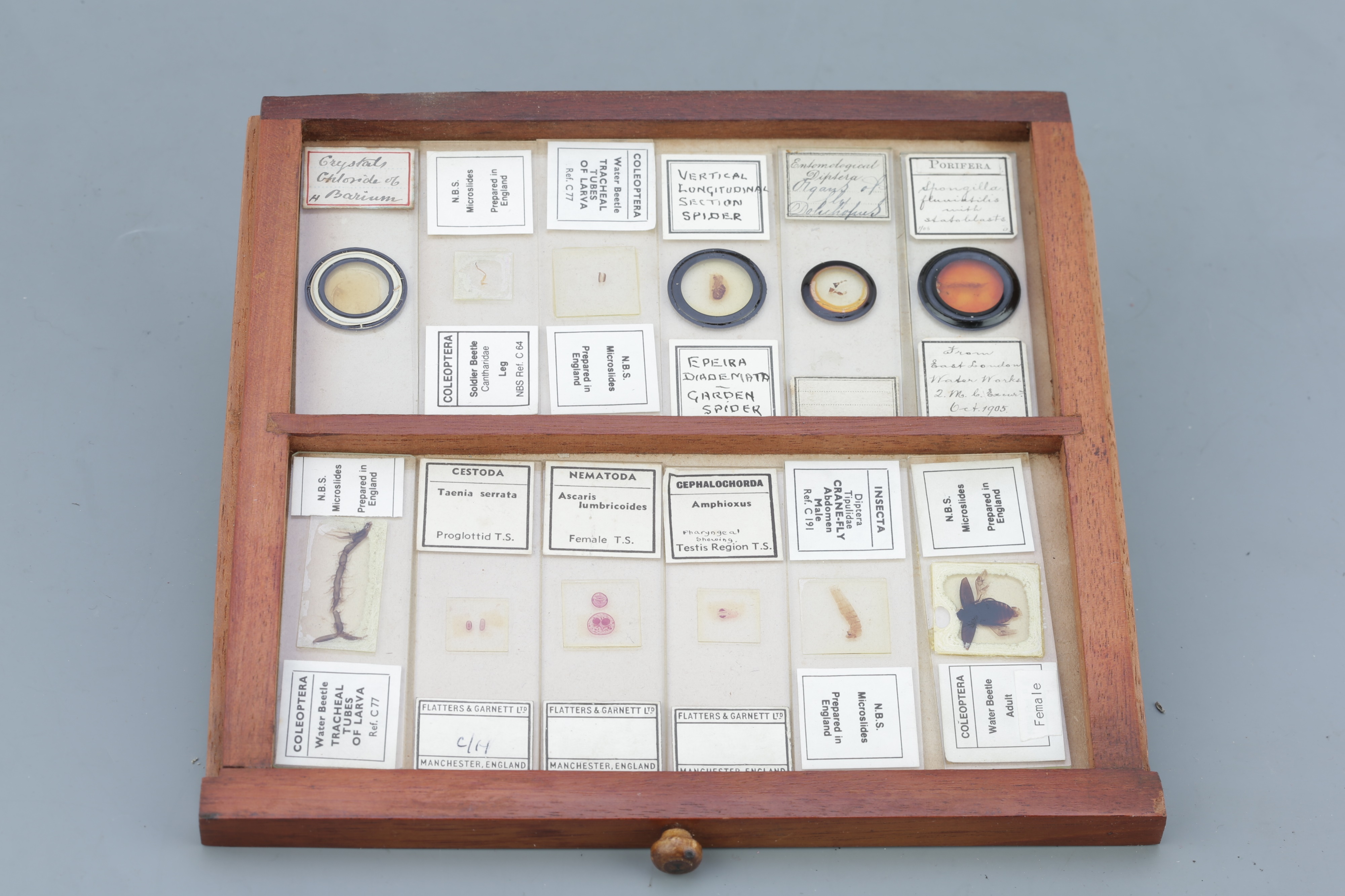 Microscope SlideCabinet & Slide Collection, - Image 4 of 15