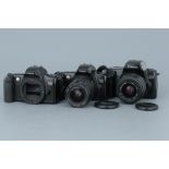 Three Canon EOS SLR Cameras