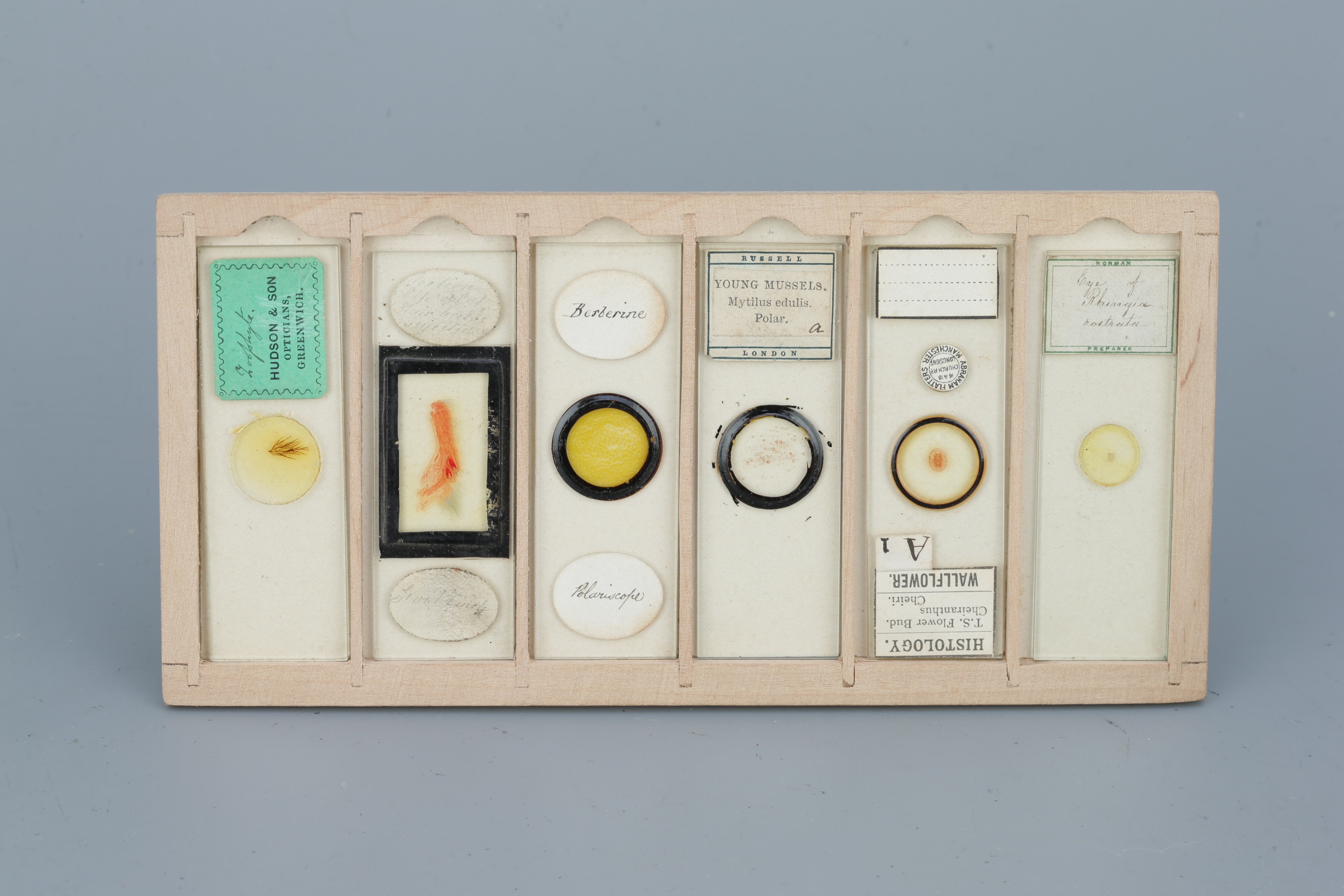 Two Cases of Microscope Slides, - Image 14 of 20