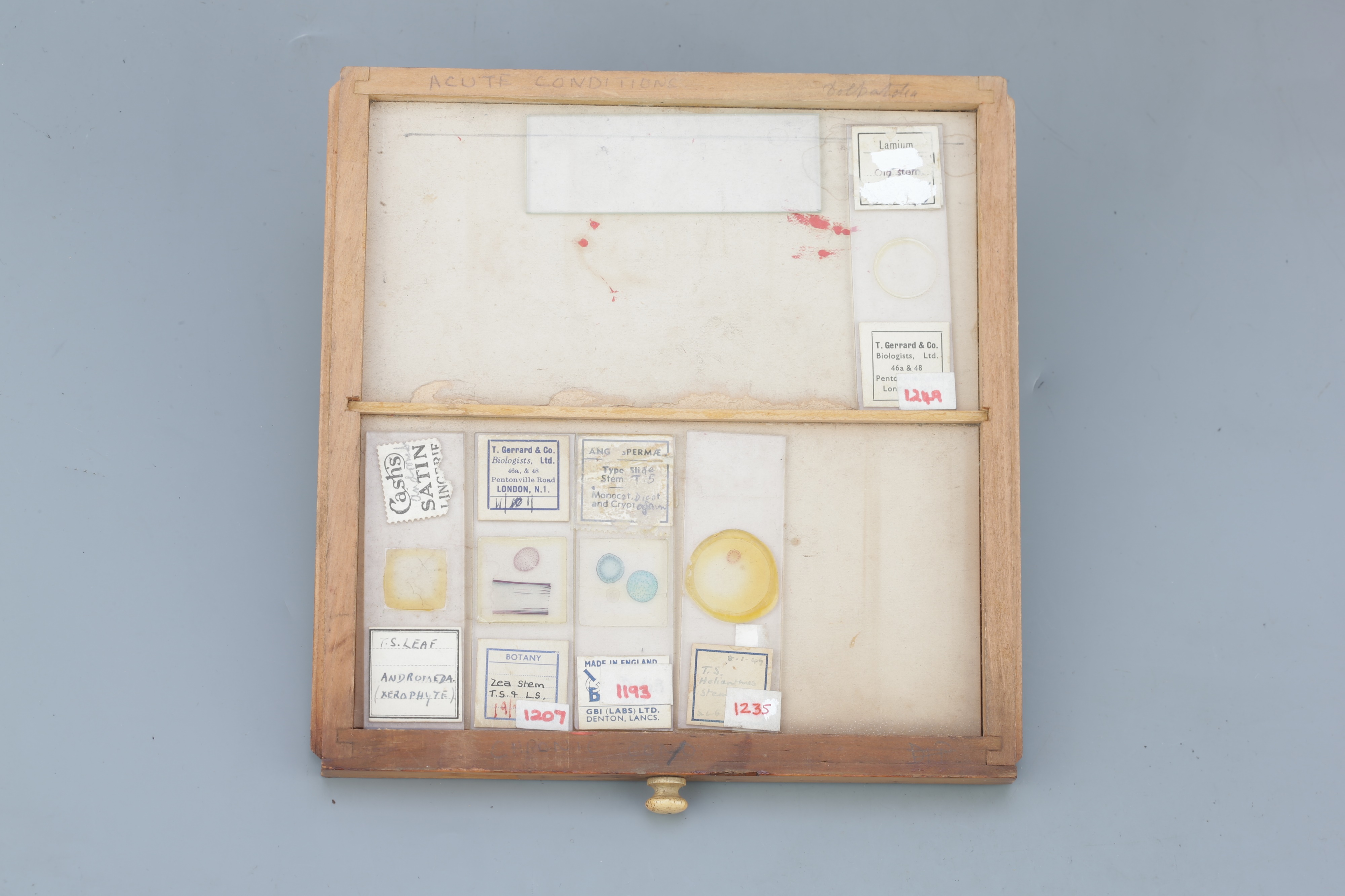 Small Cabinet of Microscope Slides, - Image 2 of 13