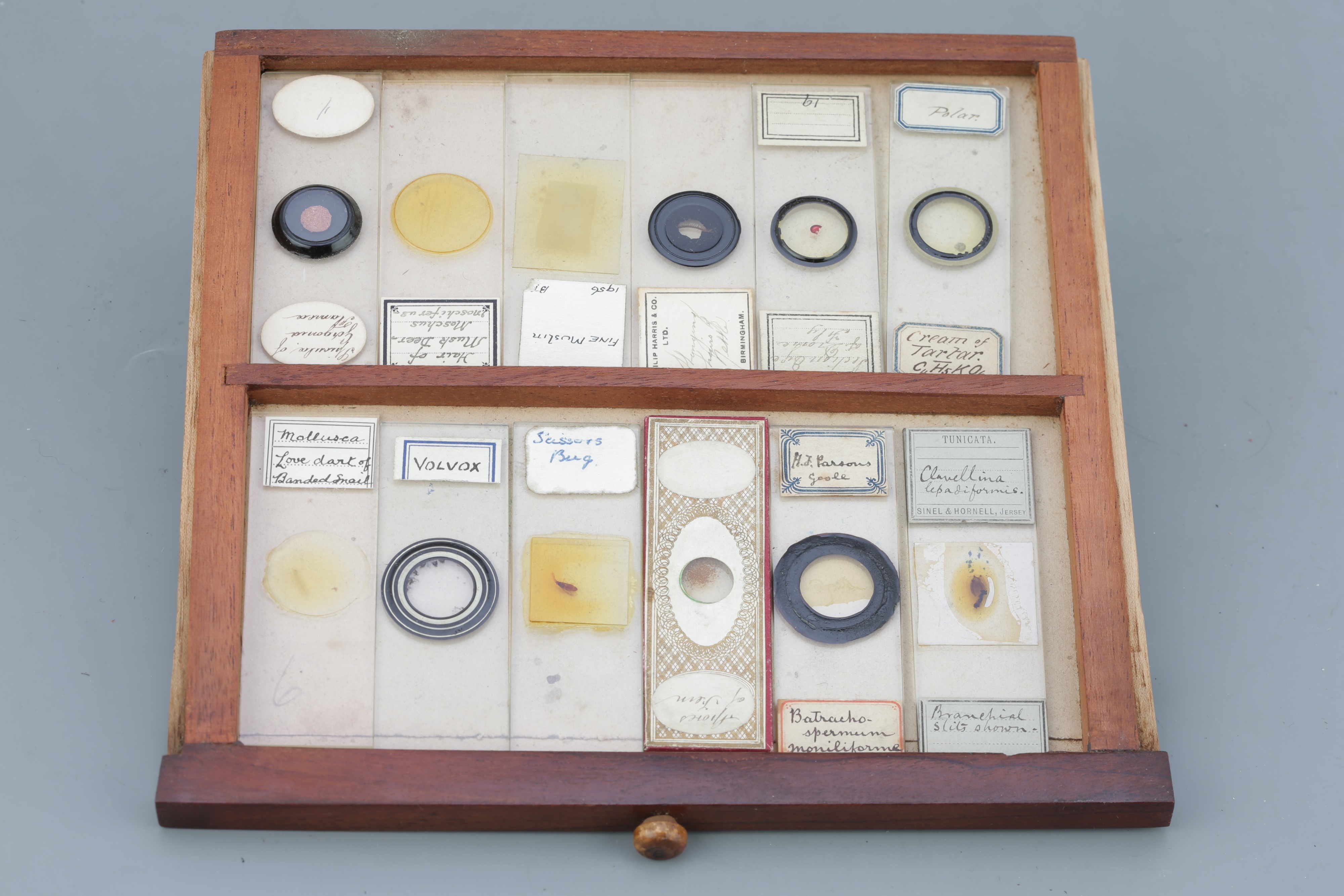 Microscope SlideCabinet & Slide Collection, - Image 8 of 15