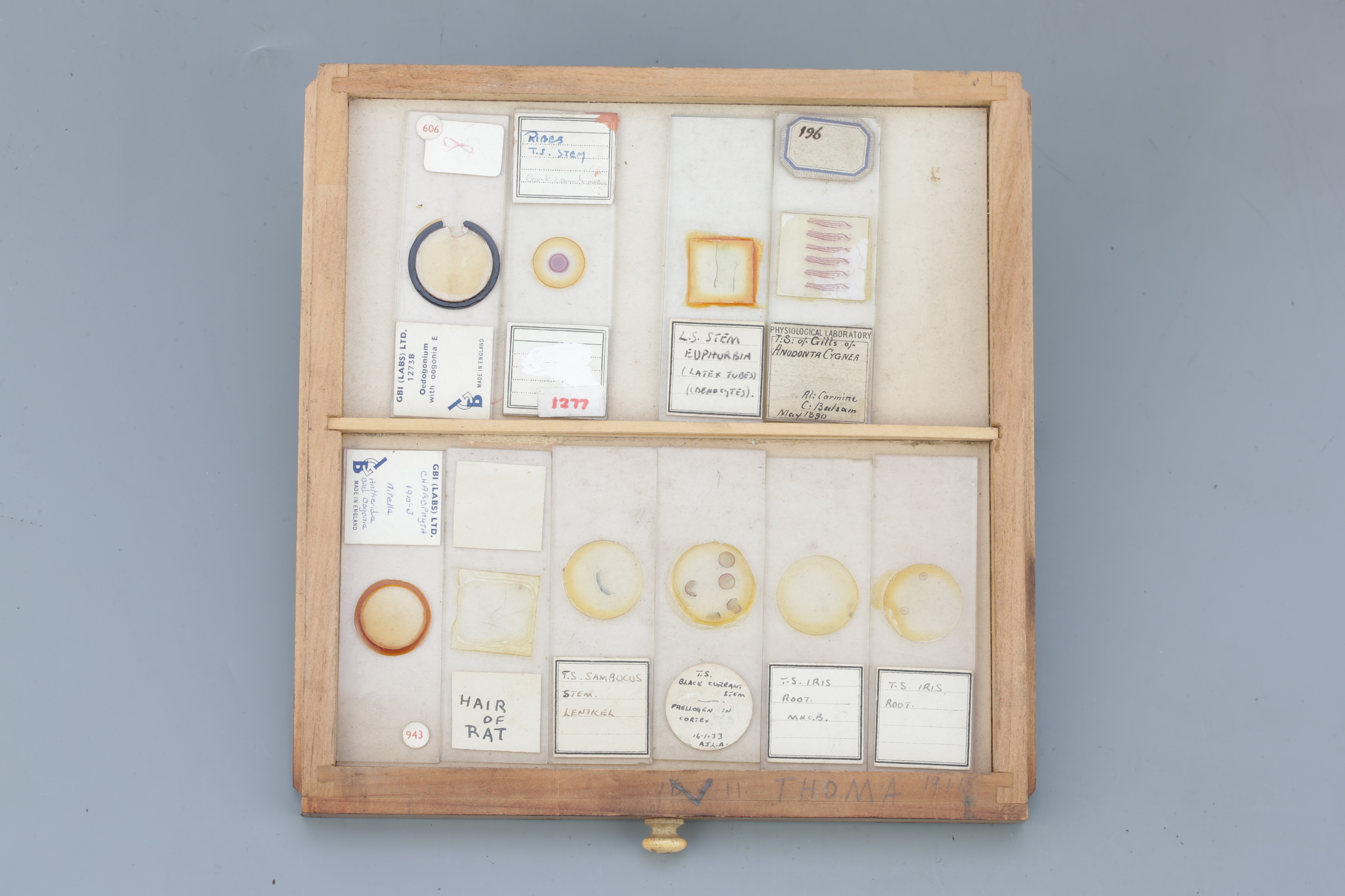 Small Cabinet of Microscope Slides, - Image 5 of 13