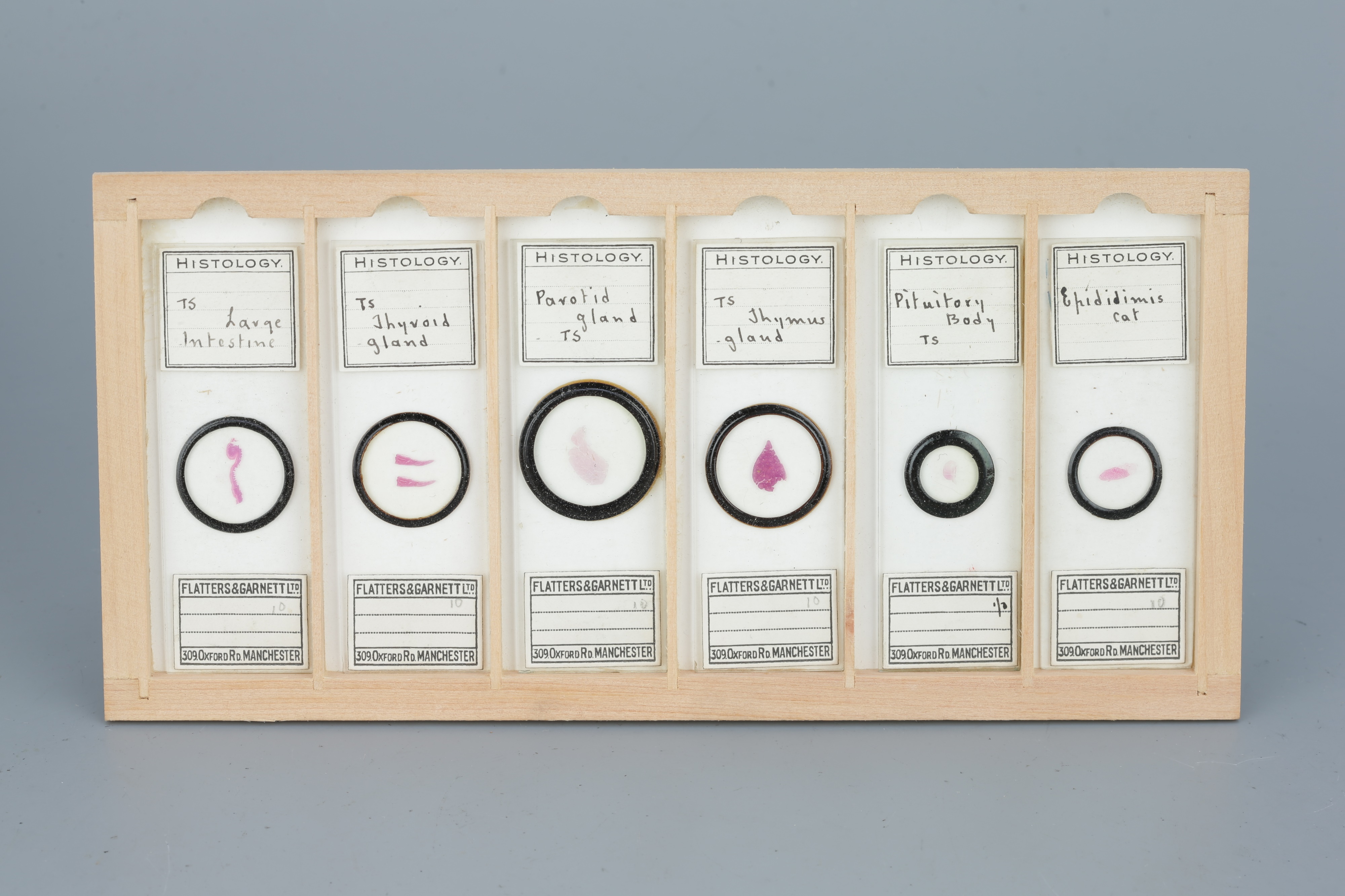 Two Cases of Microscope Slides, - Image 3 of 20