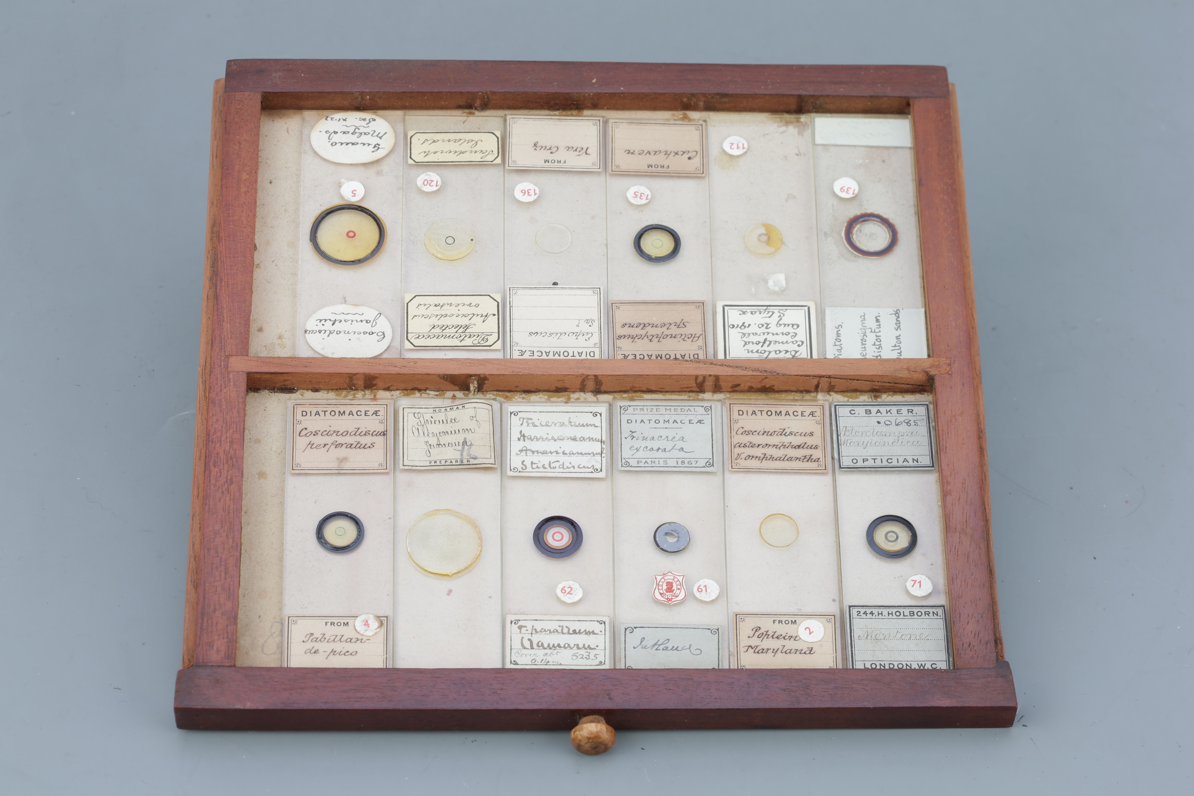 Microscope SlideCabinet & Slide Collection, - Image 12 of 15