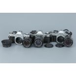 Three Canon SLR Cameras