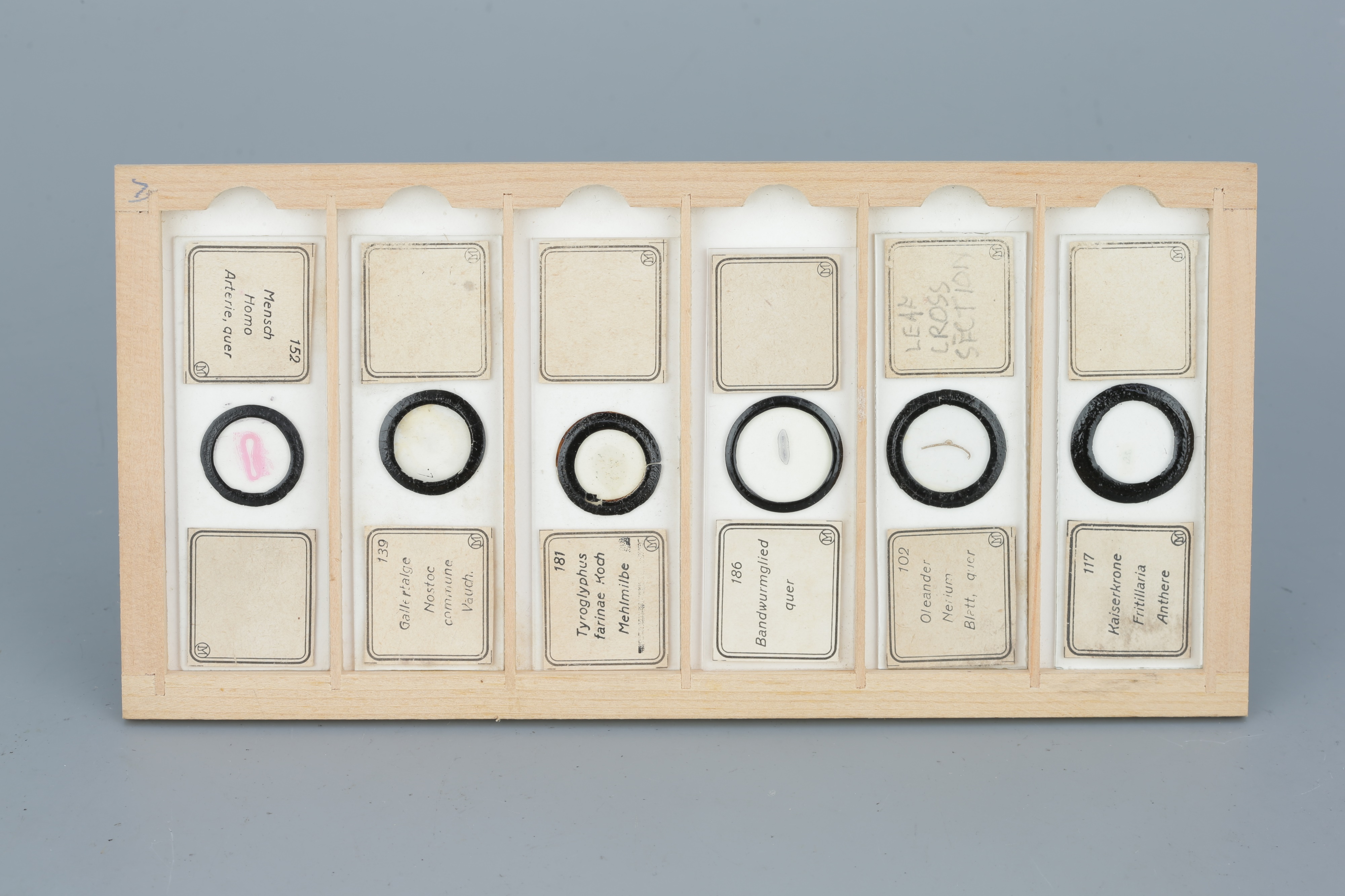 Two Cases of Microscope Slides, - Image 19 of 20