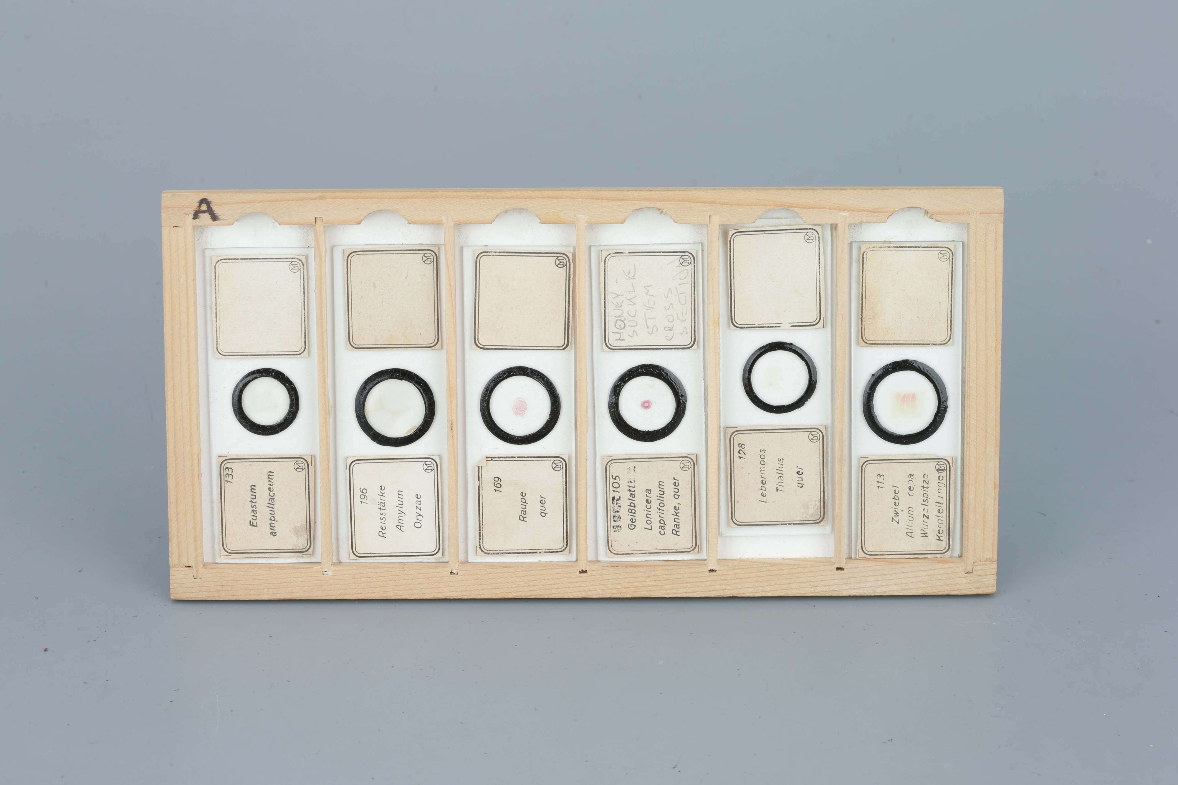 Two Cases of Microscope Slides, - Image 20 of 20