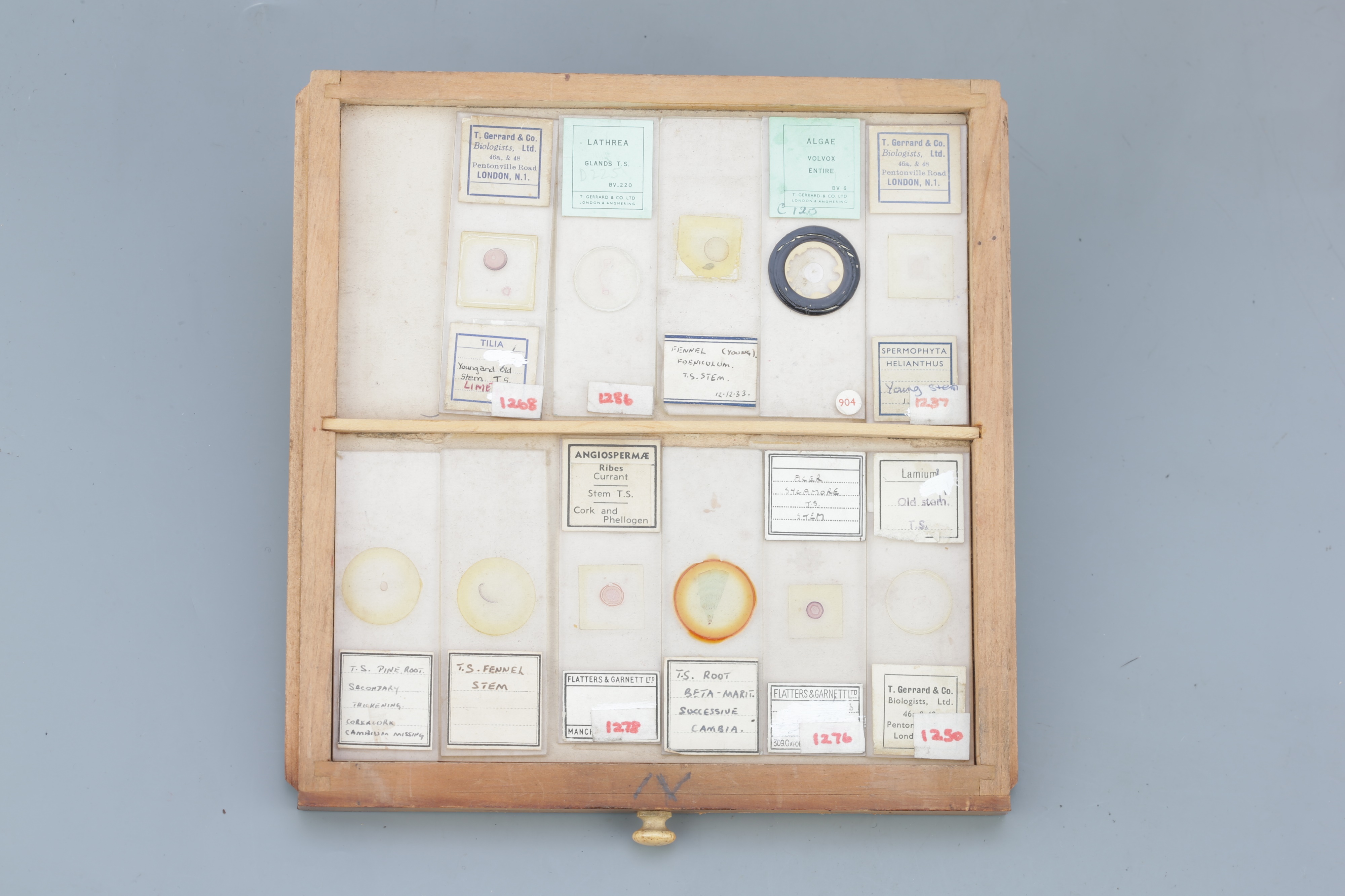 Small Cabinet of Microscope Slides, - Image 6 of 13