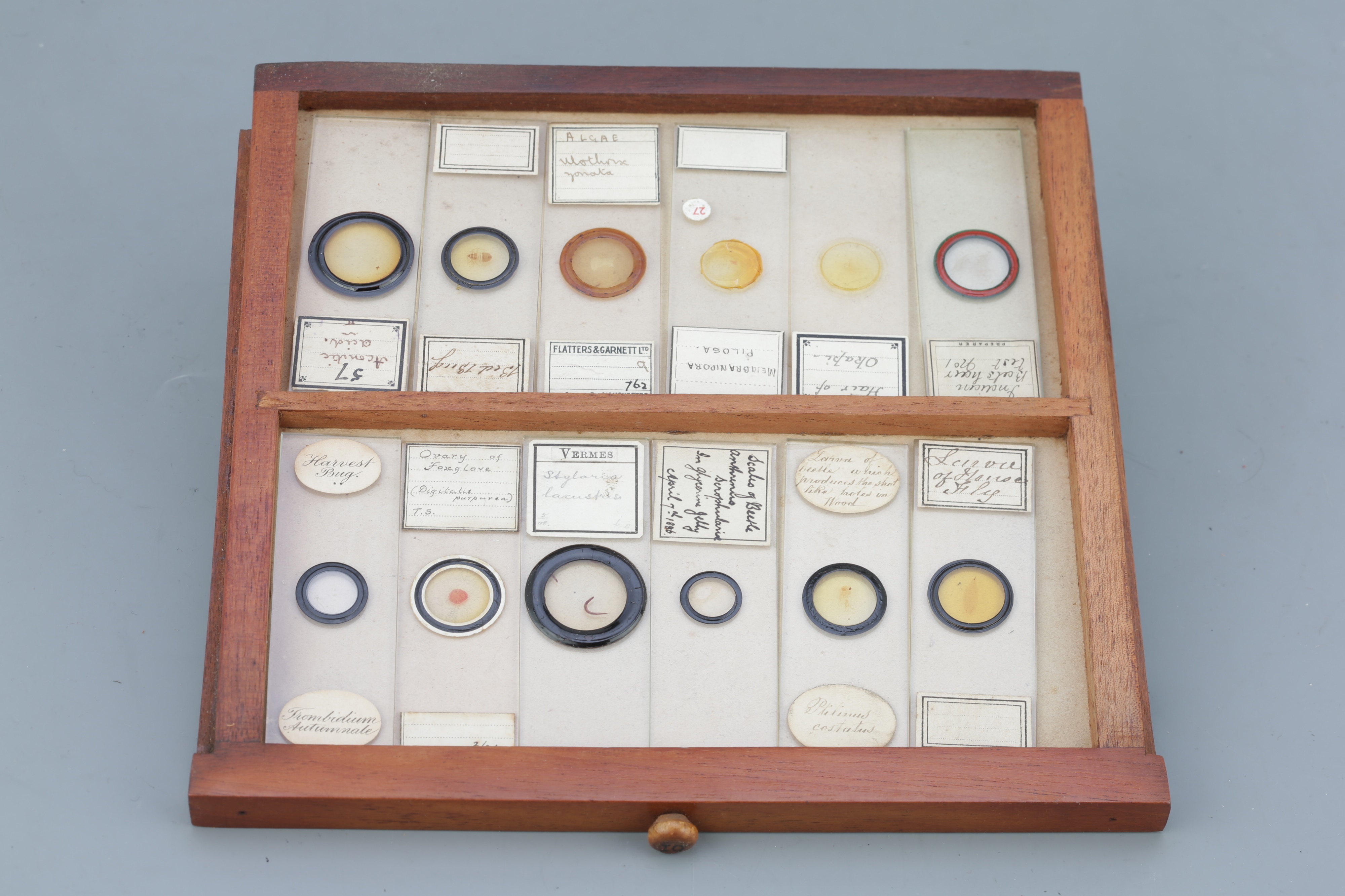 Microscope SlideCabinet & Slide Collection, - Image 10 of 15