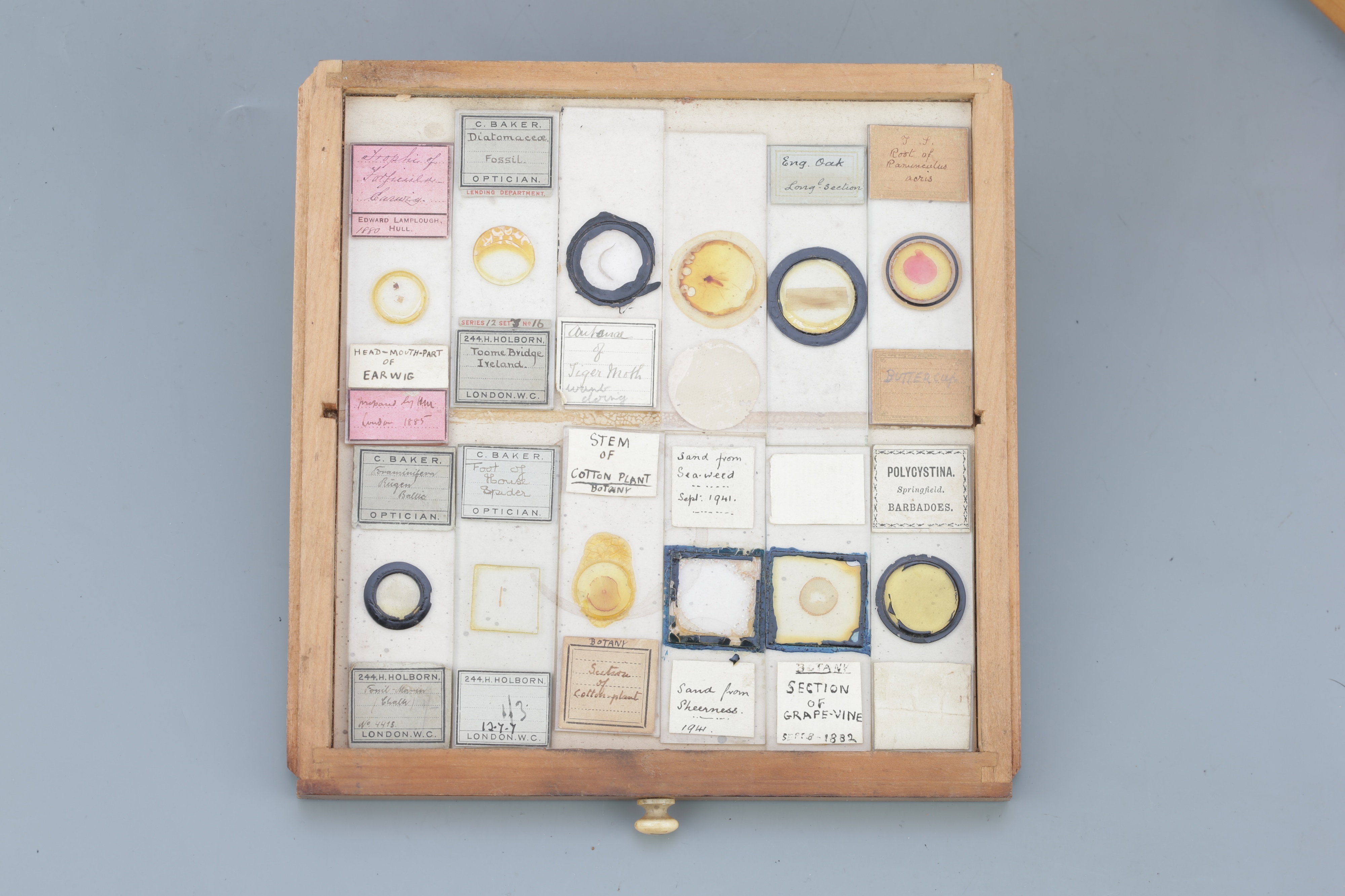 Small Cabinet of Microscope Slides, - Image 8 of 13