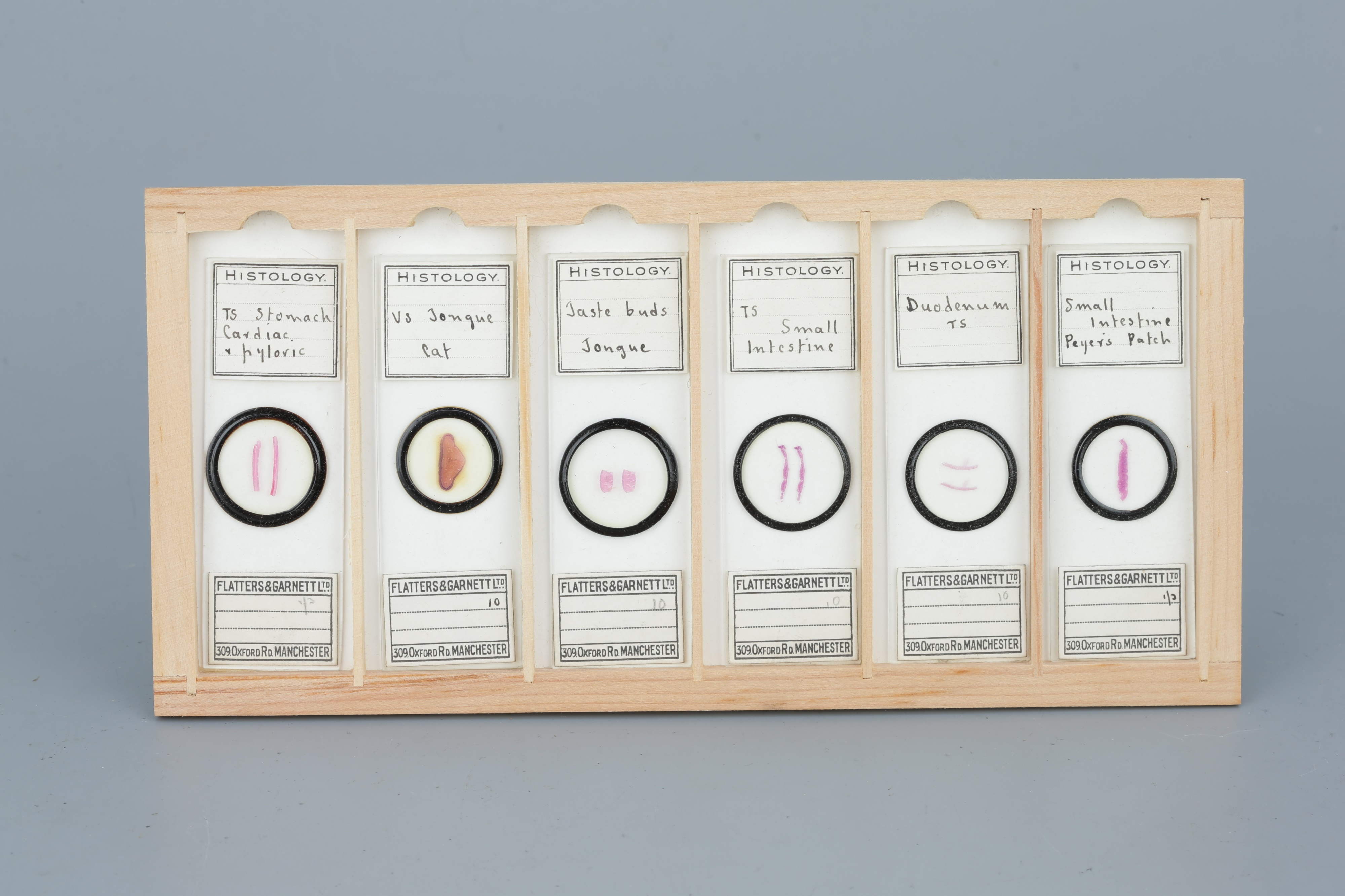 Two Cases of Microscope Slides, - Image 4 of 20