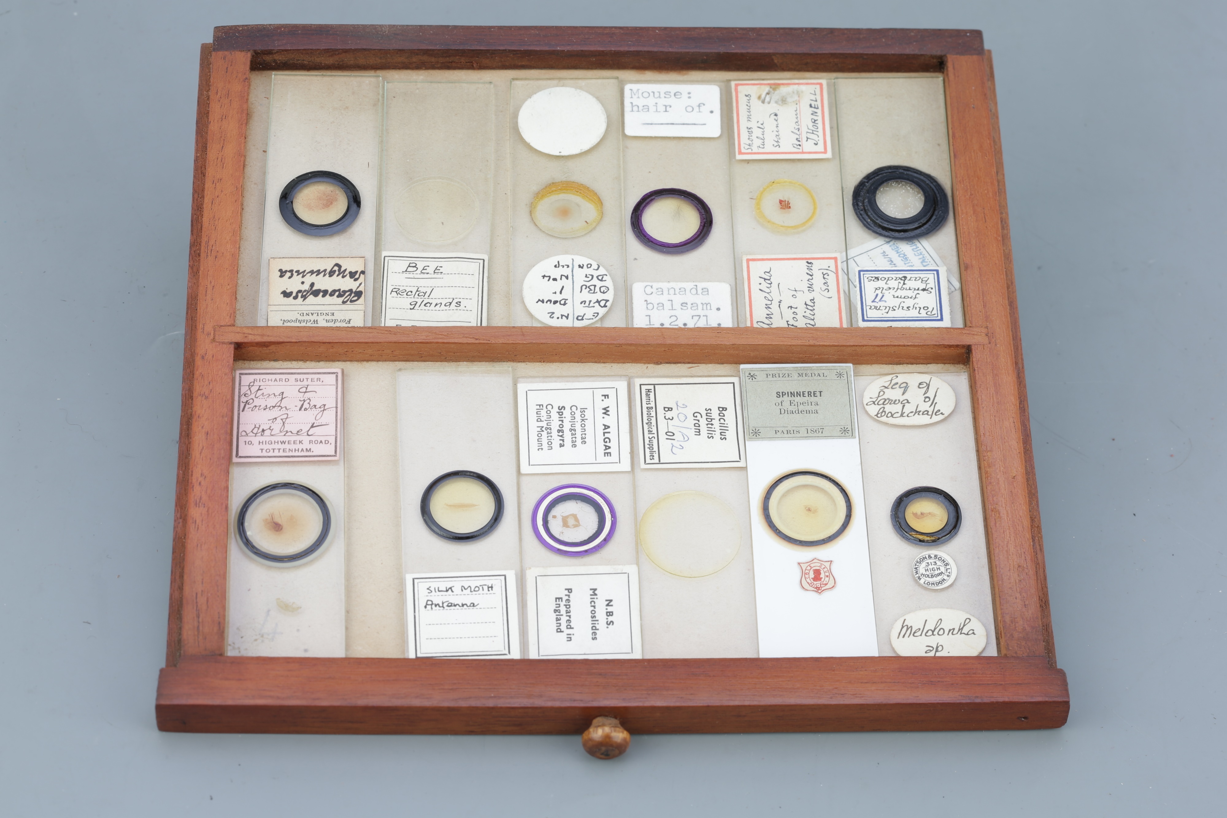 Microscope SlideCabinet & Slide Collection, - Image 3 of 15