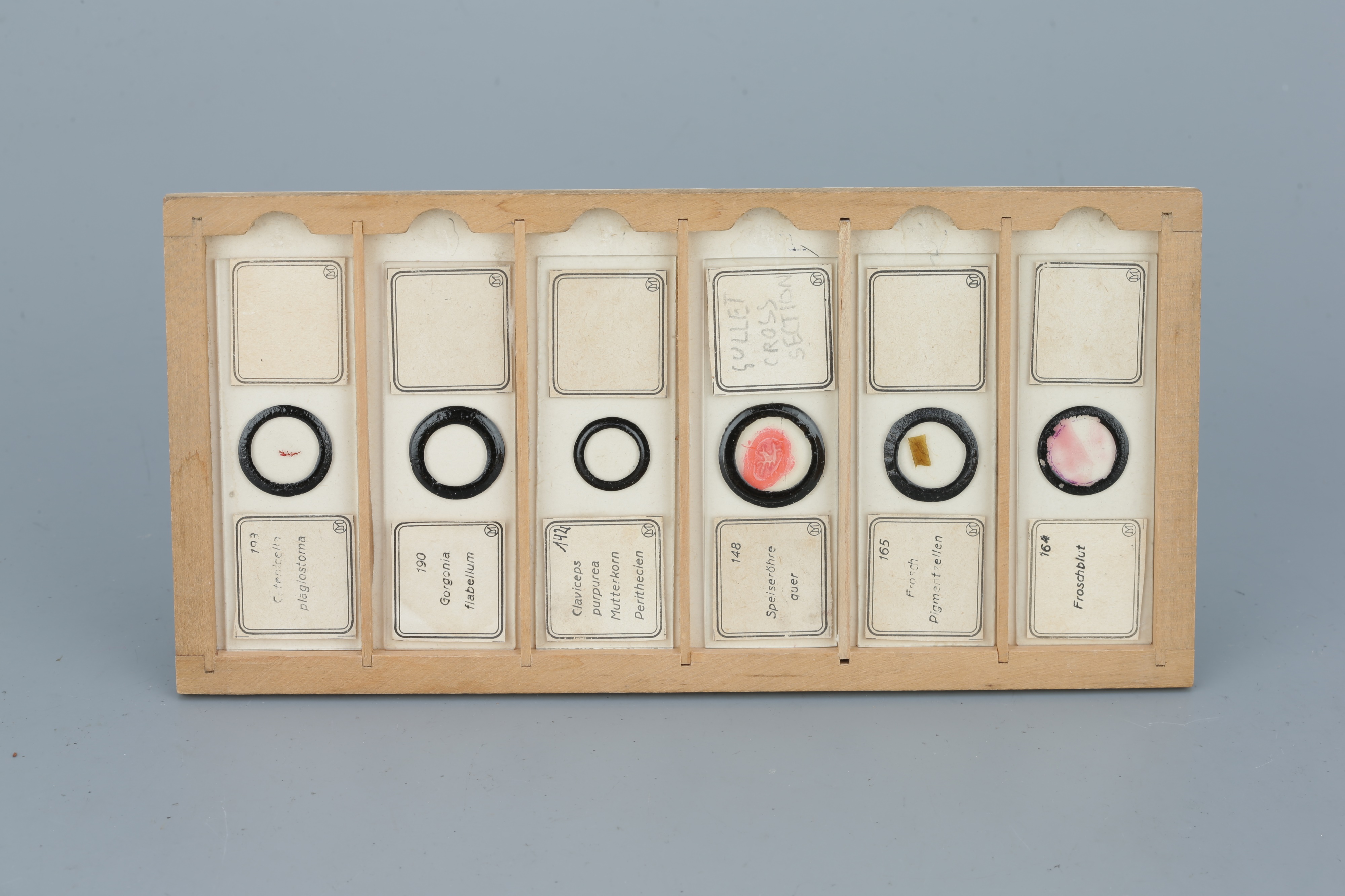 Two Cases of Microscope Slides, - Image 17 of 20