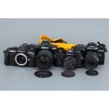 A Collection of Nikon SLRs