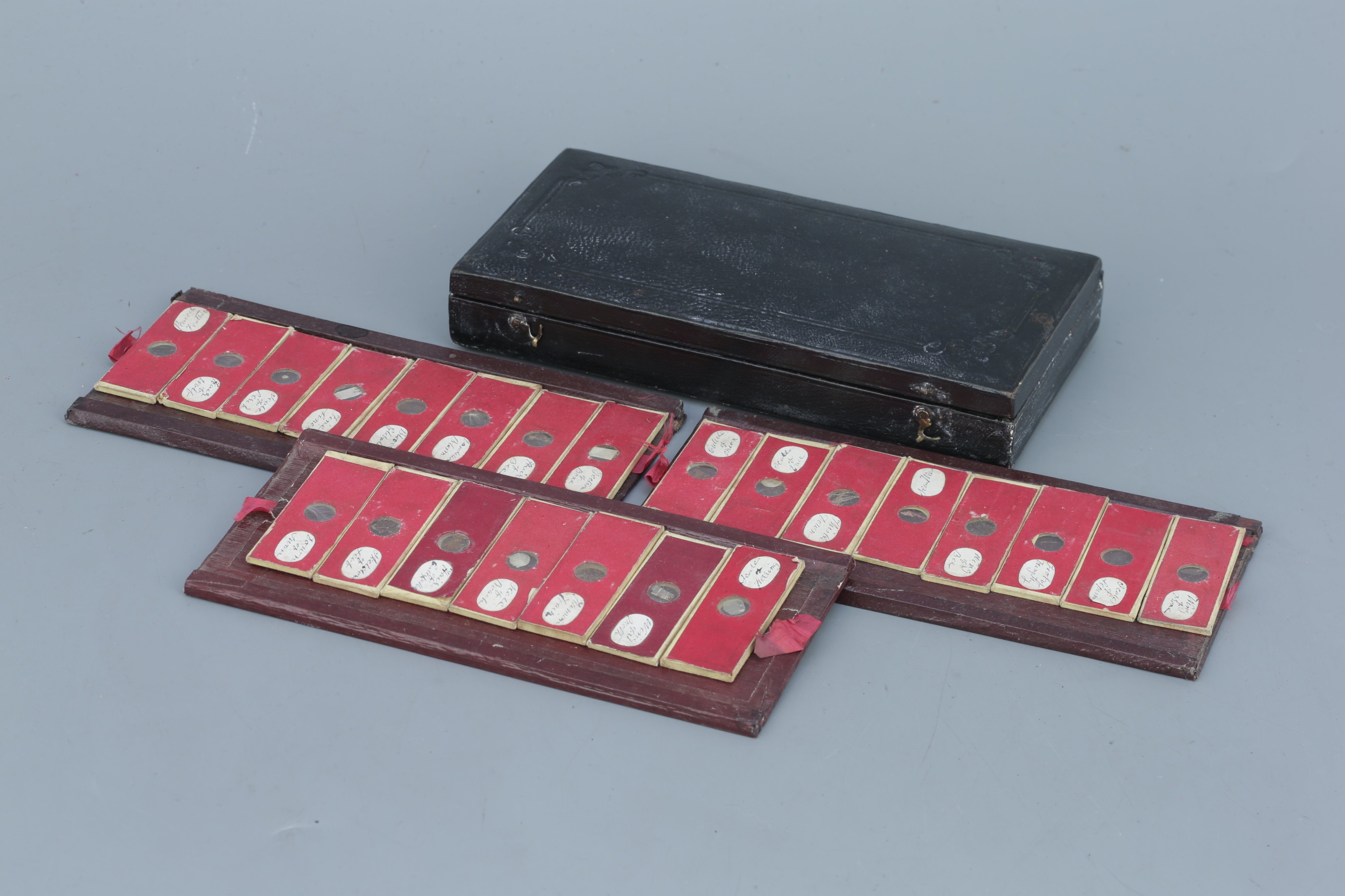Early Leather Case of Microscope Slides,