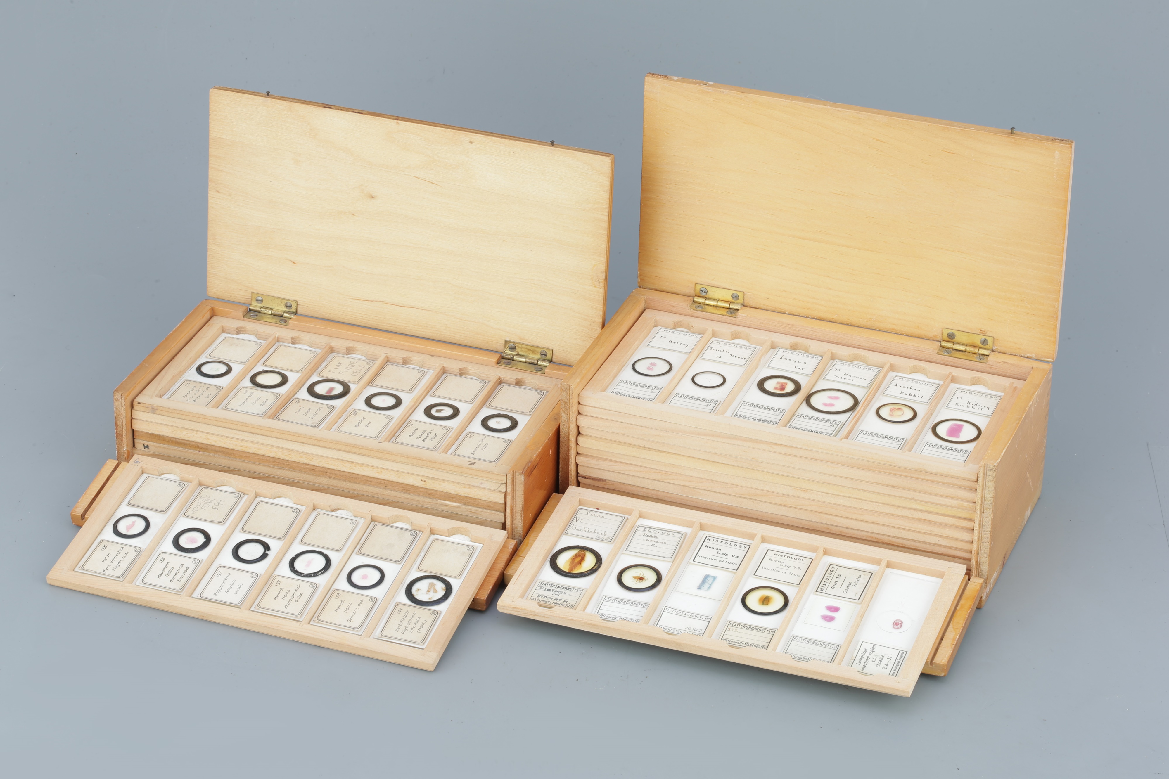 Two Cases of Microscope Slides,