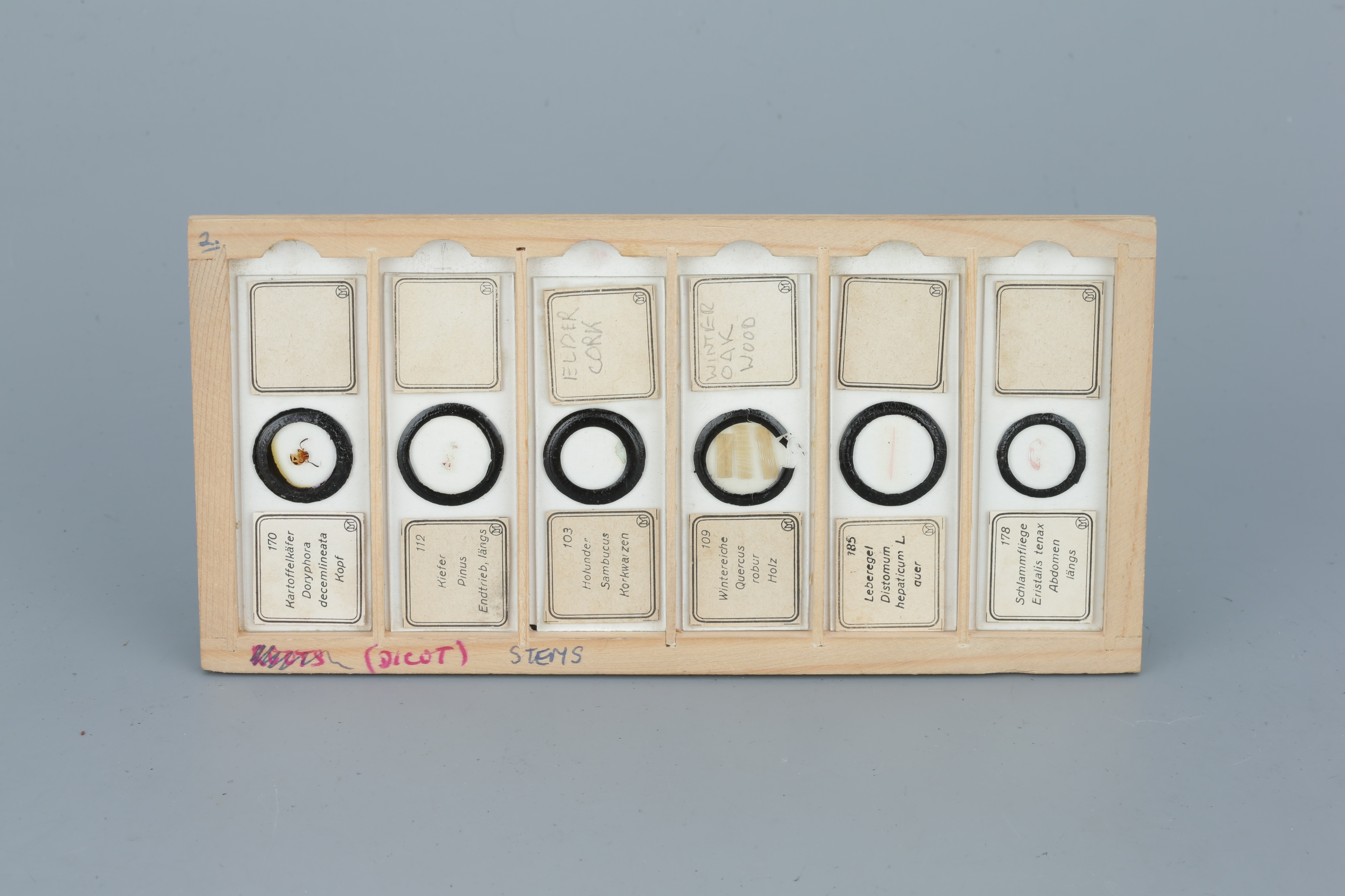 Two Cases of Microscope Slides, - Image 18 of 20