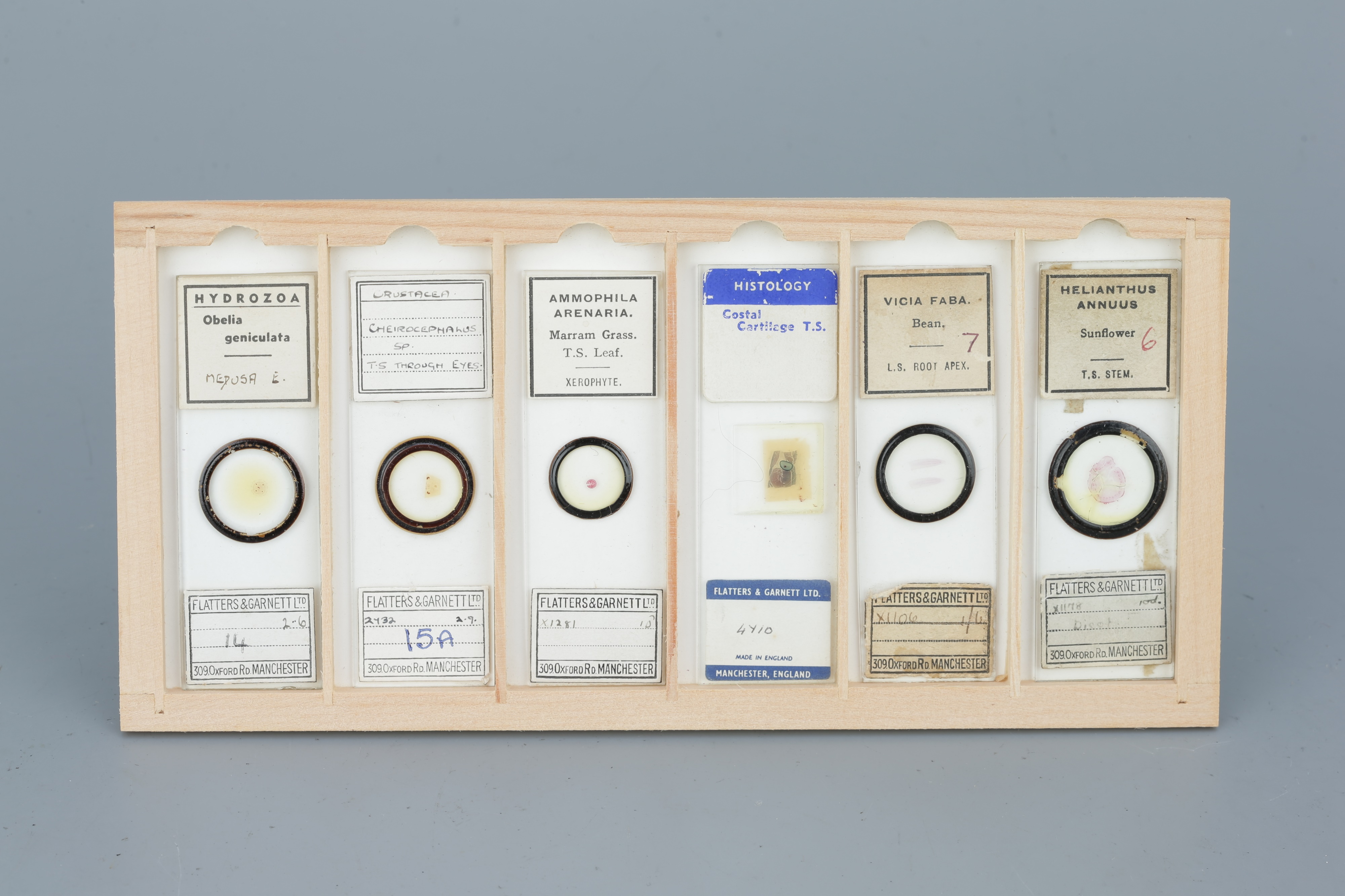 Two Cases of Microscope Slides, - Image 10 of 20