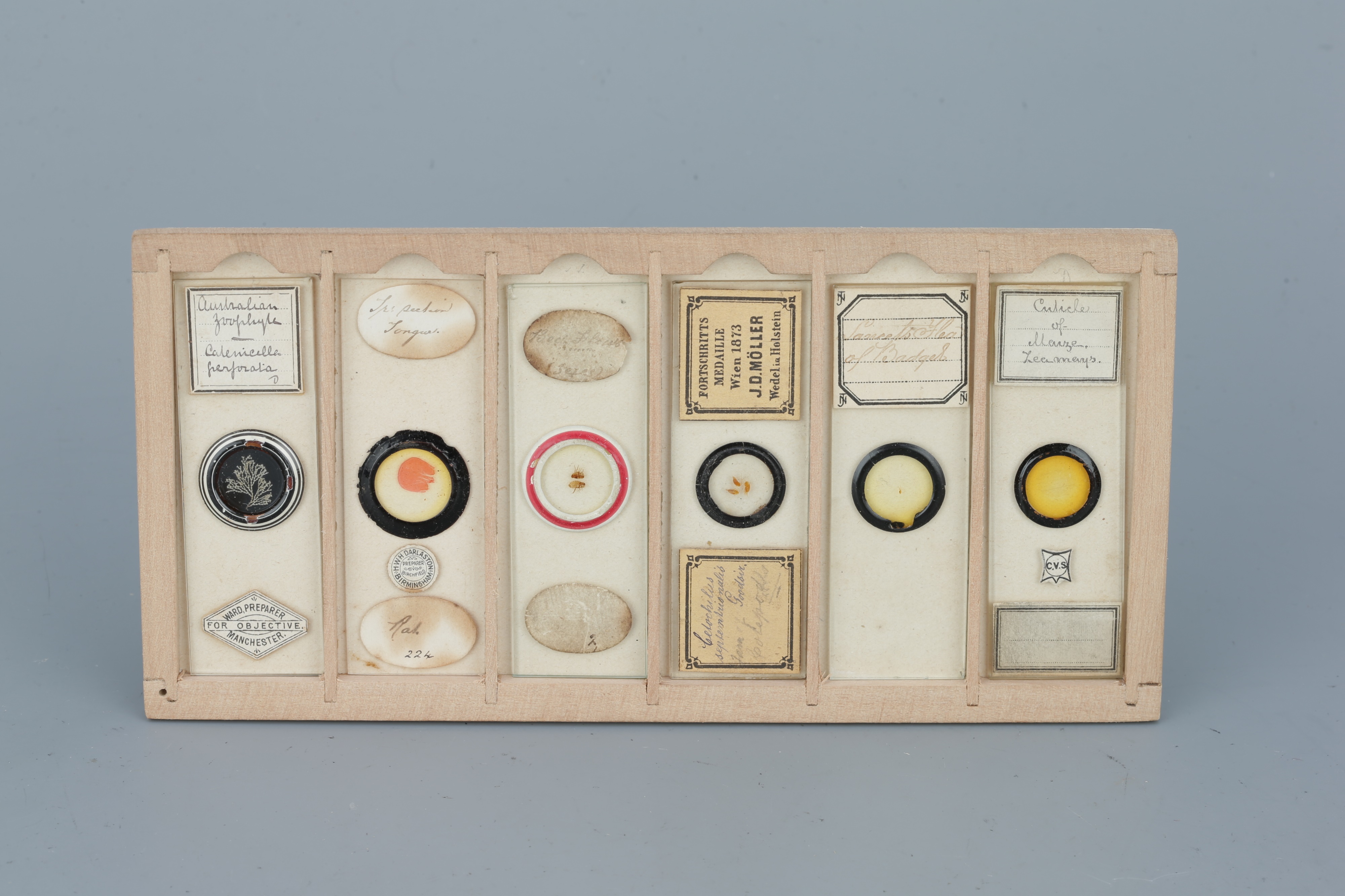 Two Cases of Microscope Slides, - Image 10 of 20