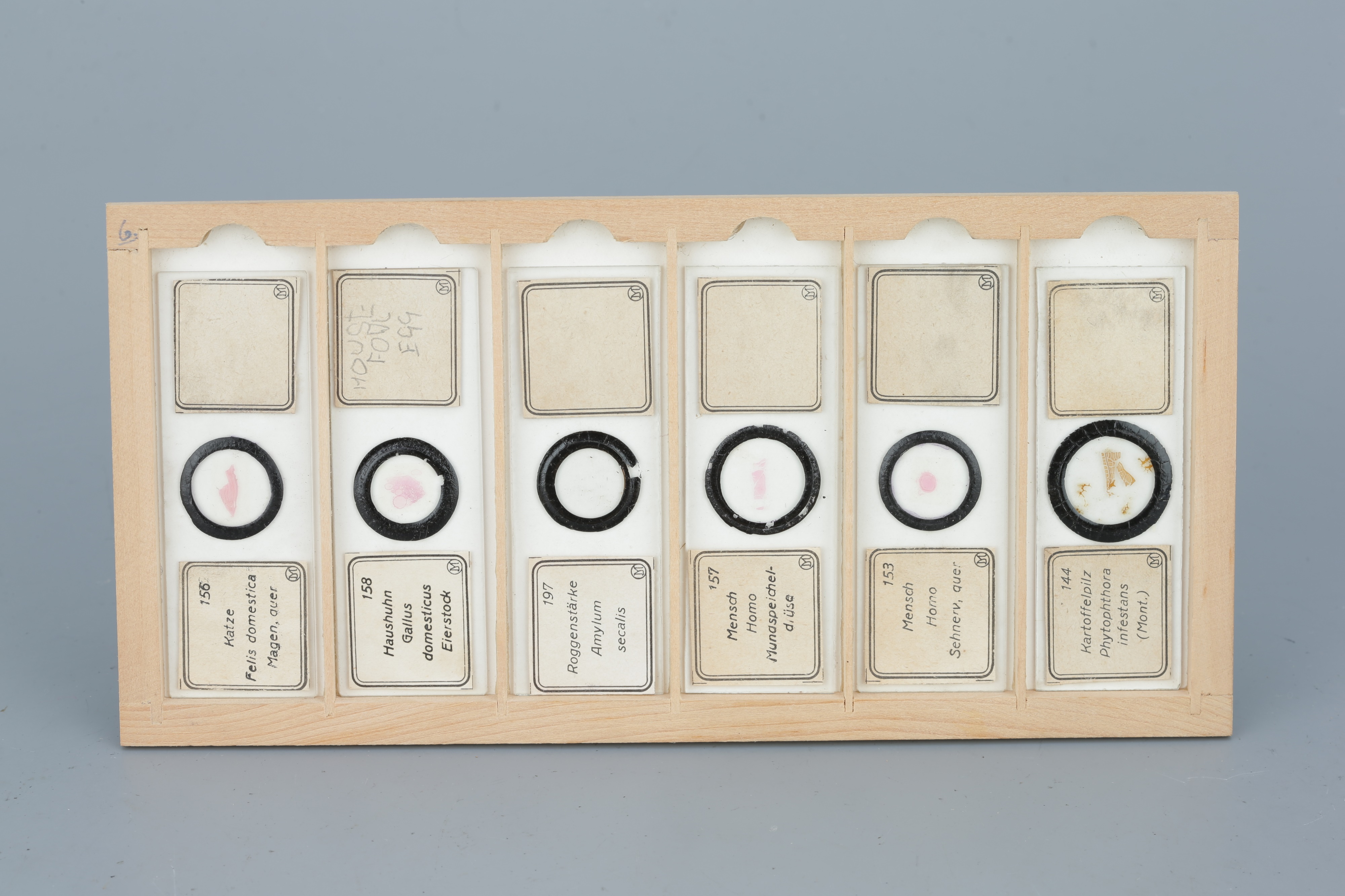 Two Cases of Microscope Slides, - Image 11 of 20