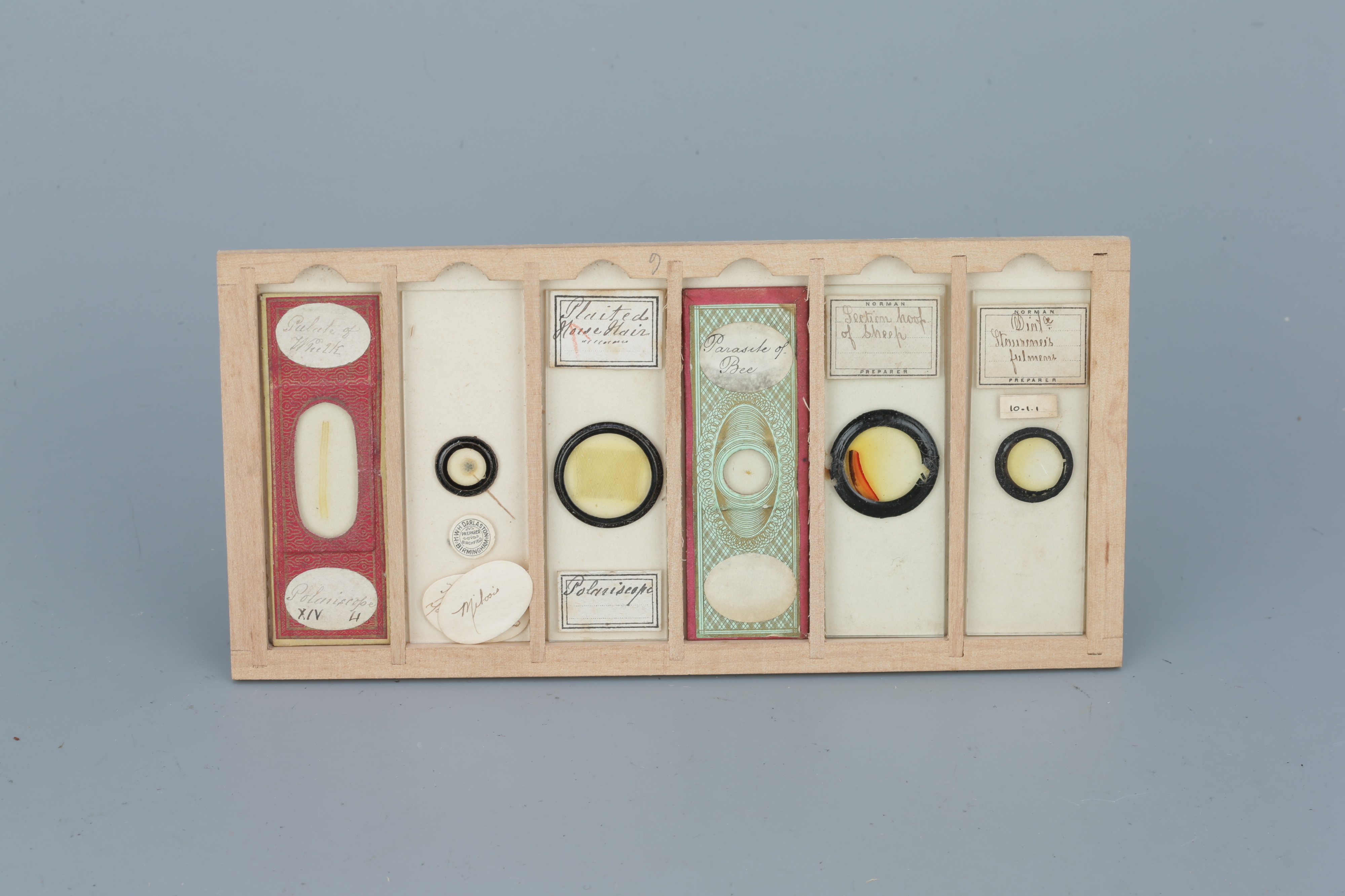 Two Cases of Microscope Slides, - Image 12 of 20