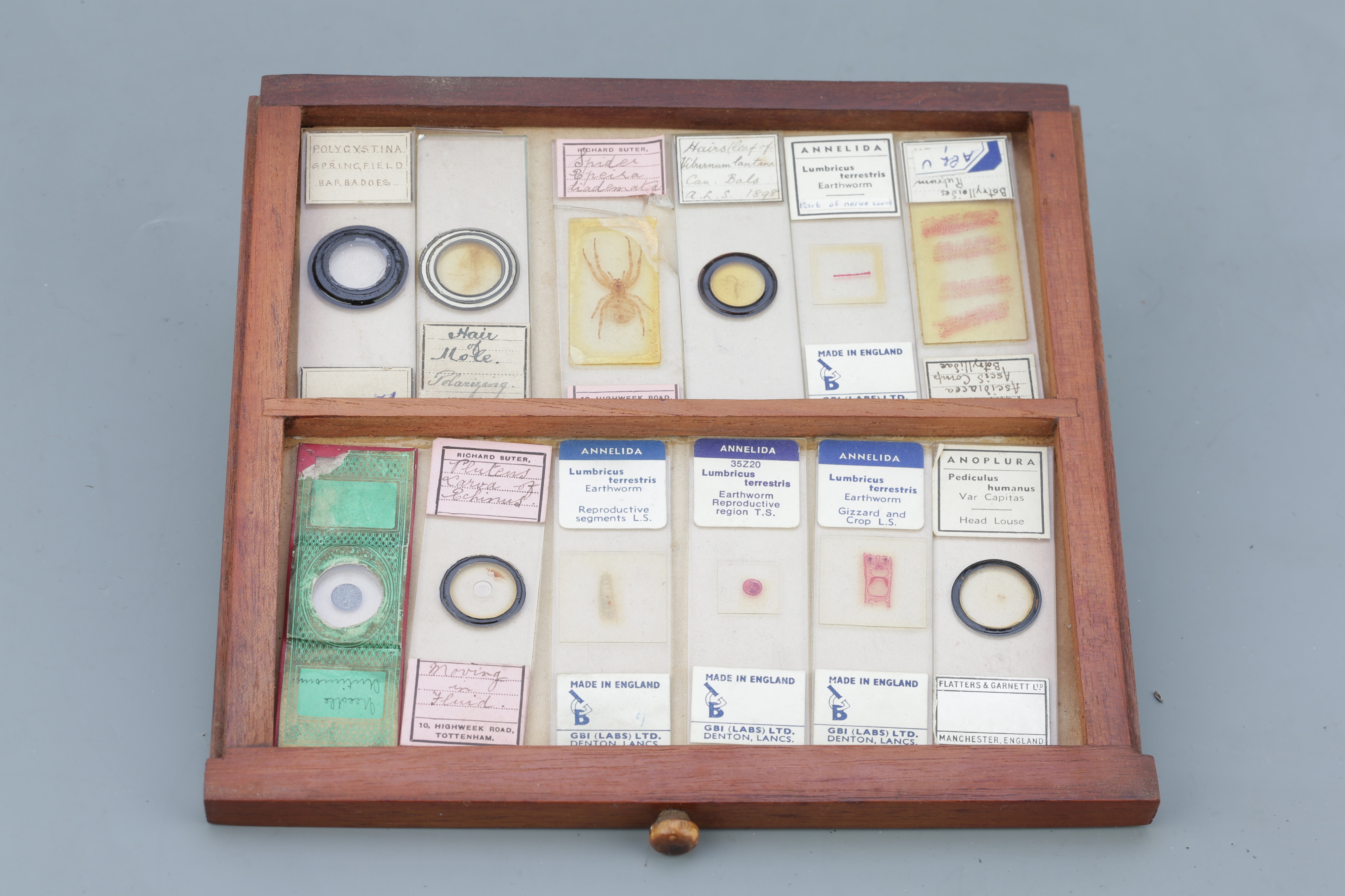 Microscope SlideCabinet & Slide Collection, - Image 6 of 15