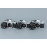 Three Canon SLR Cameras