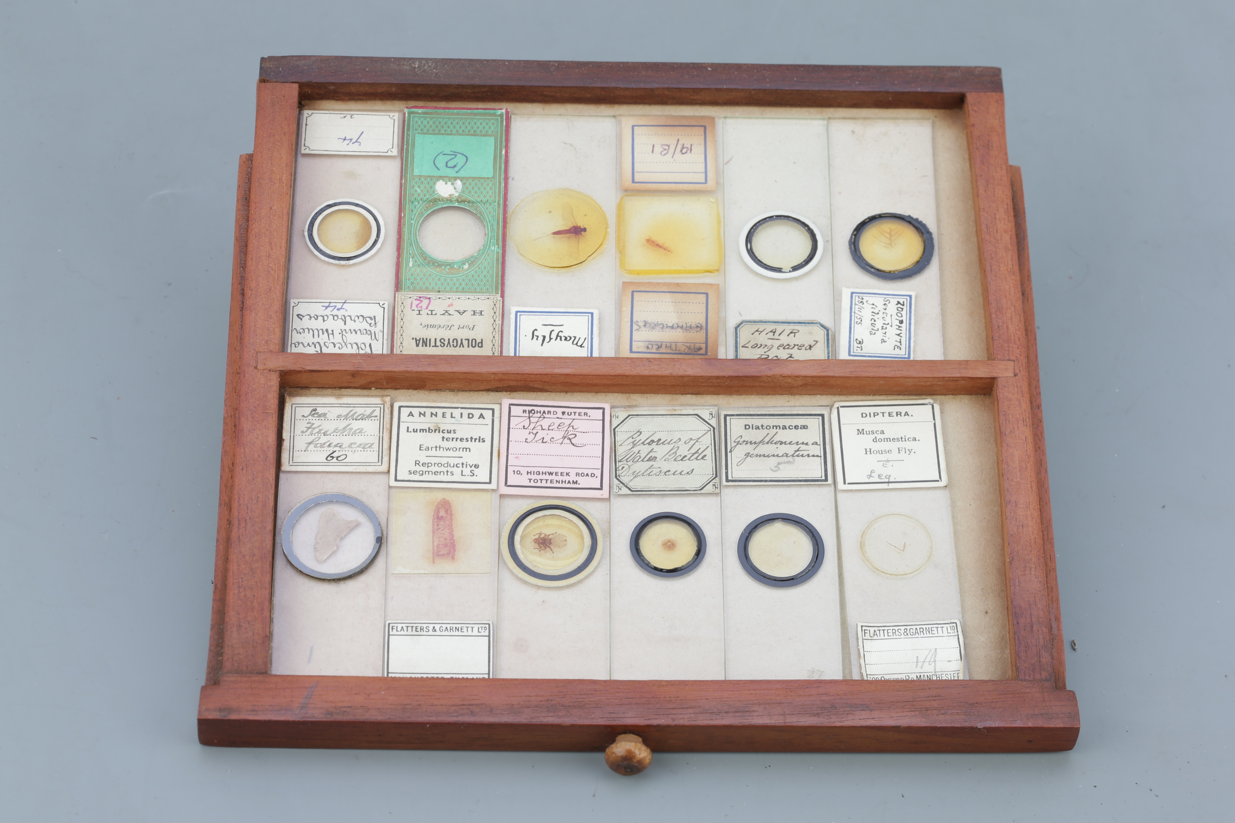 Microscope SlideCabinet & Slide Collection, - Image 7 of 15