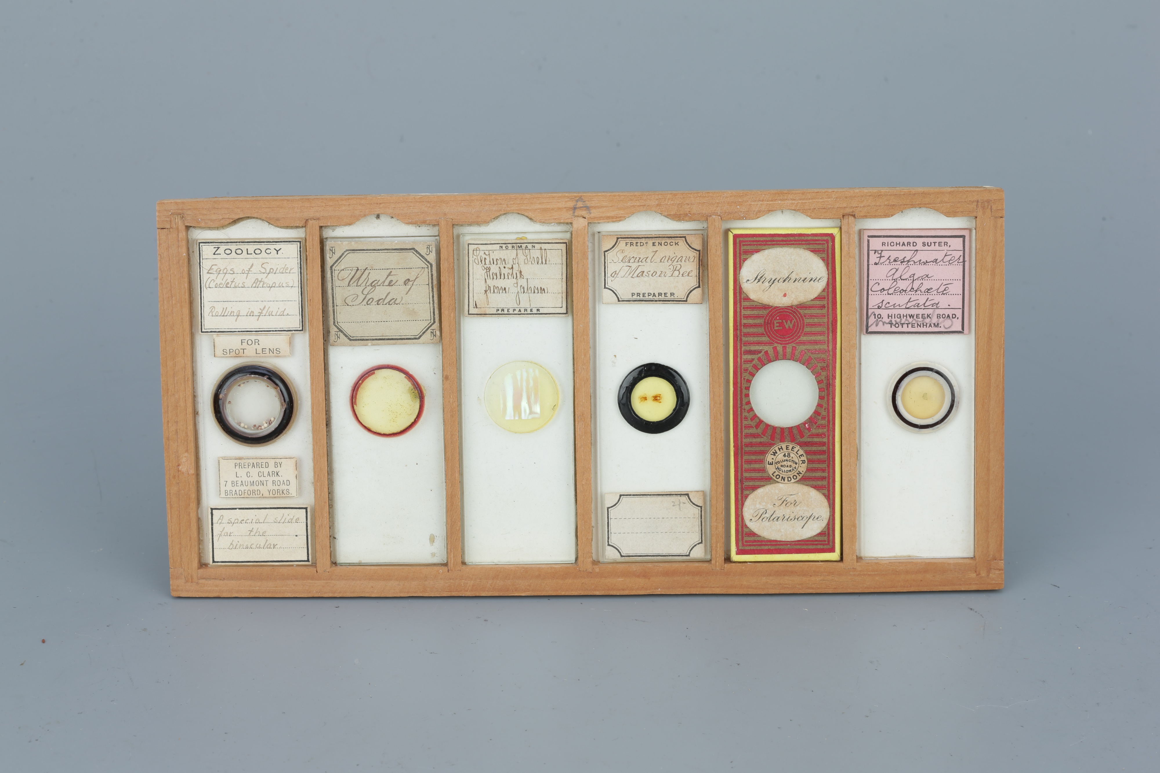 Two Cases of Microscope Slides, - Image 17 of 20