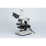 Nikon Labophot Trinocular Microscope,