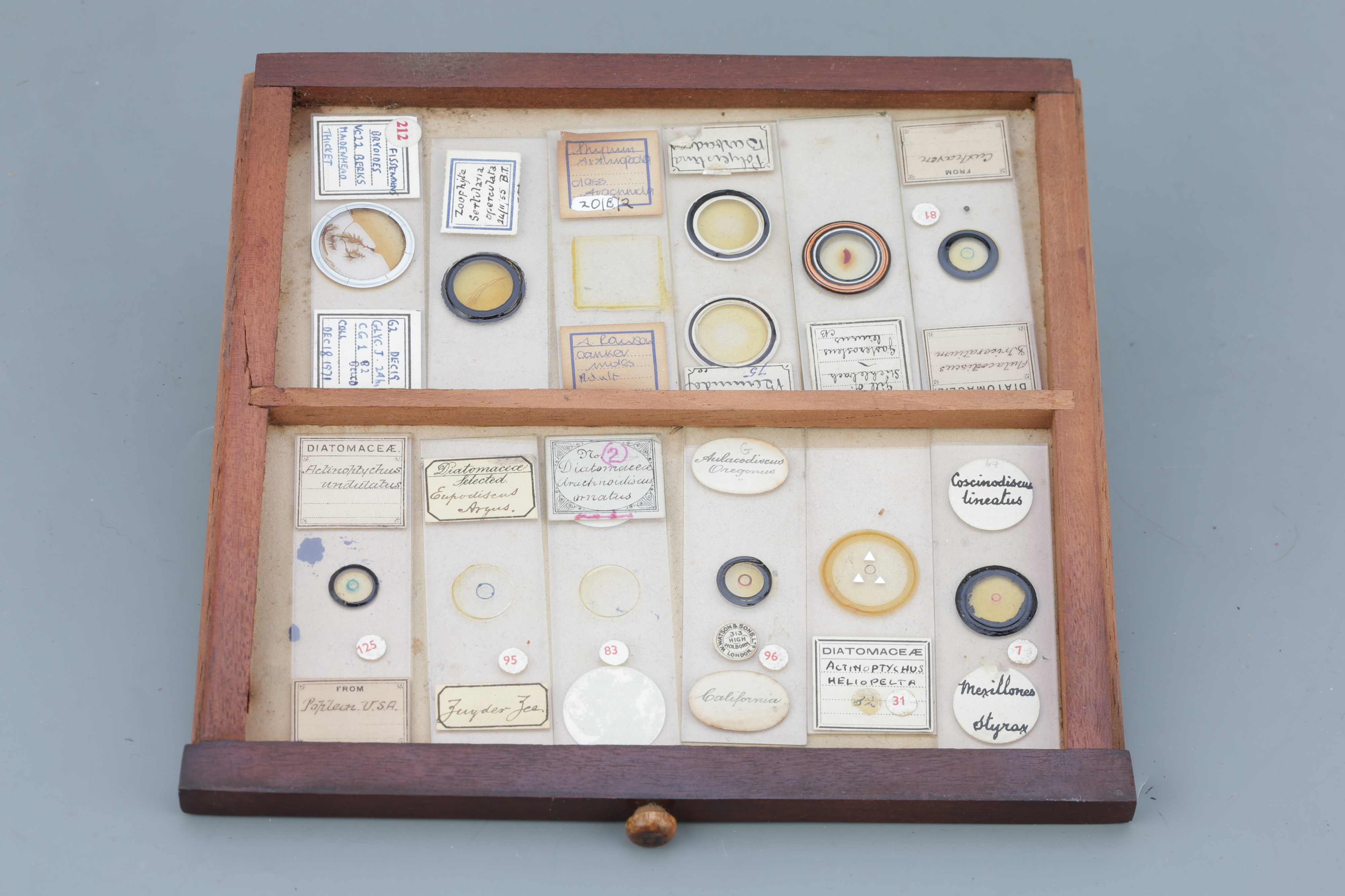 Microscope SlideCabinet & Slide Collection, - Image 11 of 15