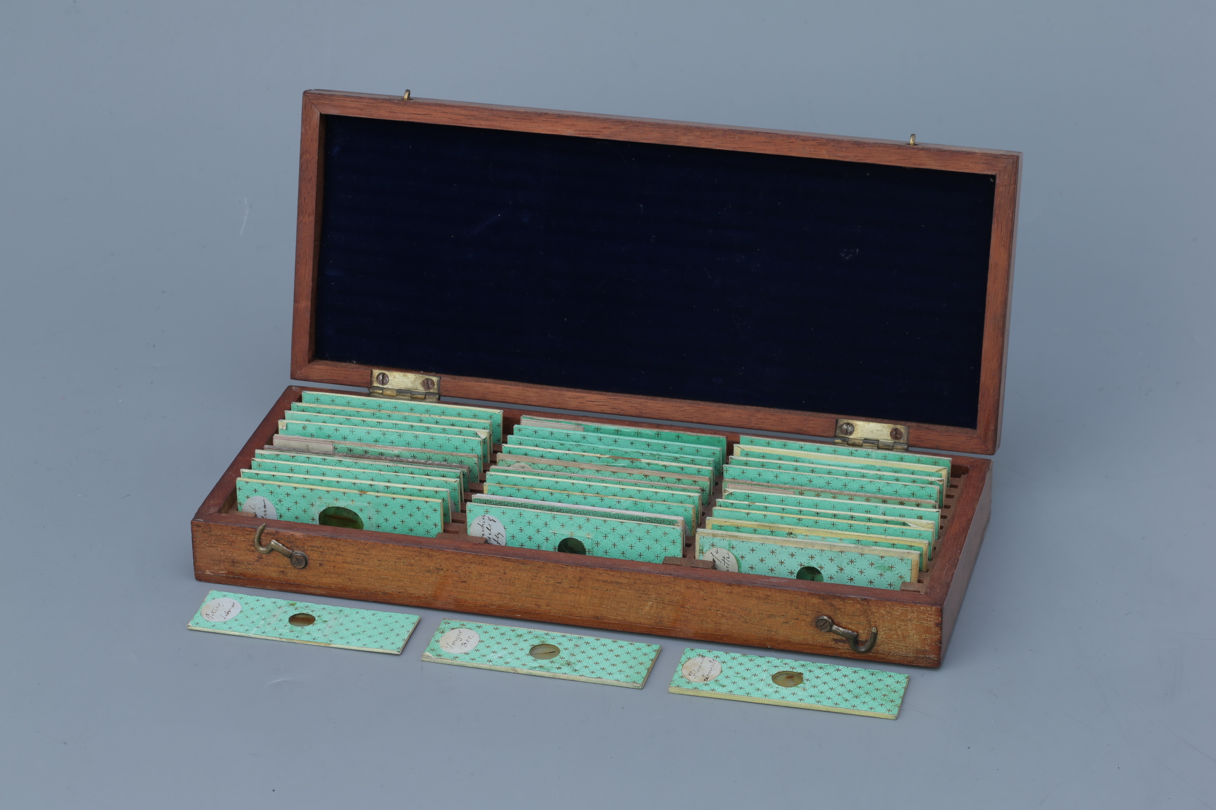 An Early Collection of Microscope Slides,