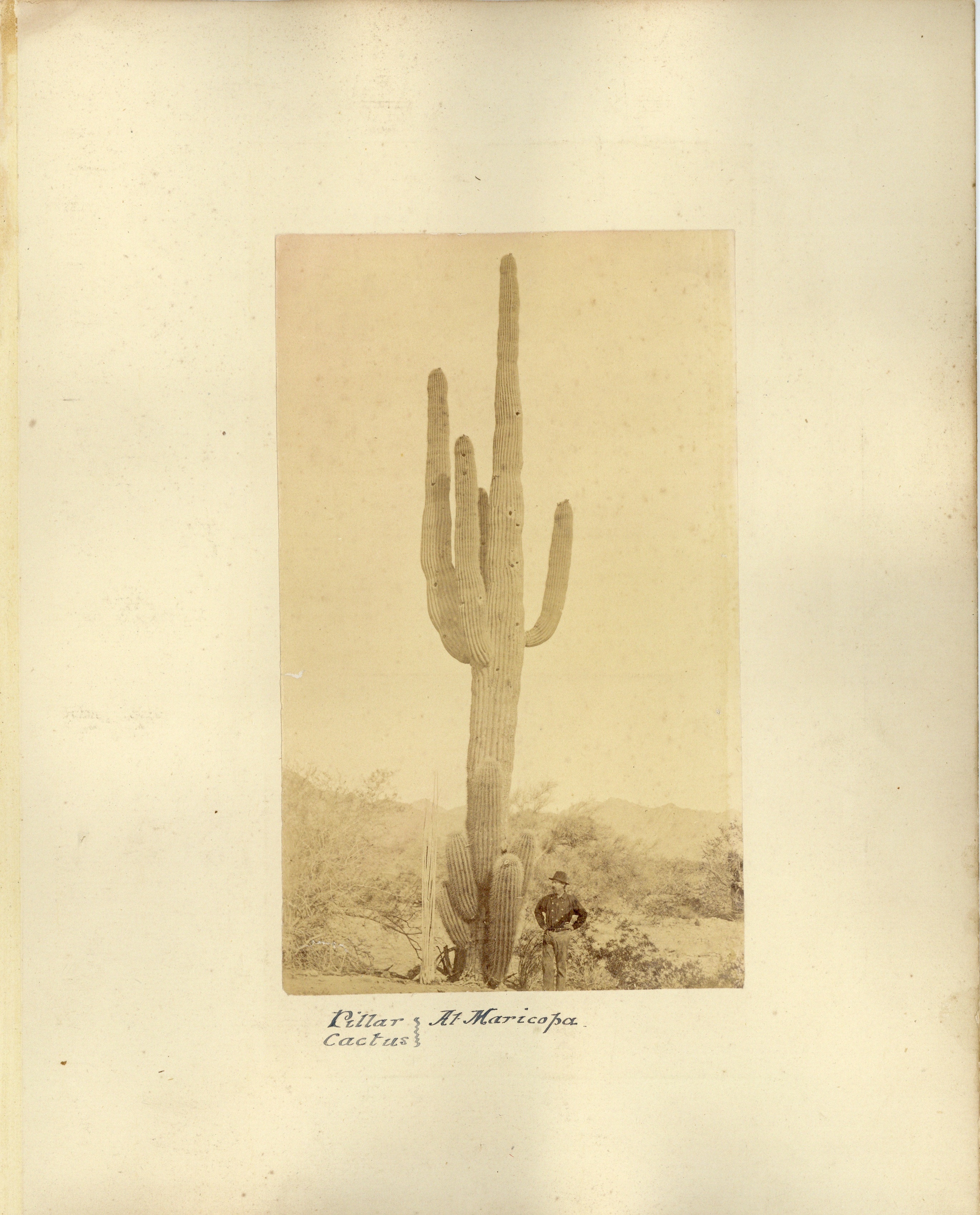 ELIAS A BONINE (1843-1916), 16 photographs of the American West, - Image 14 of 15