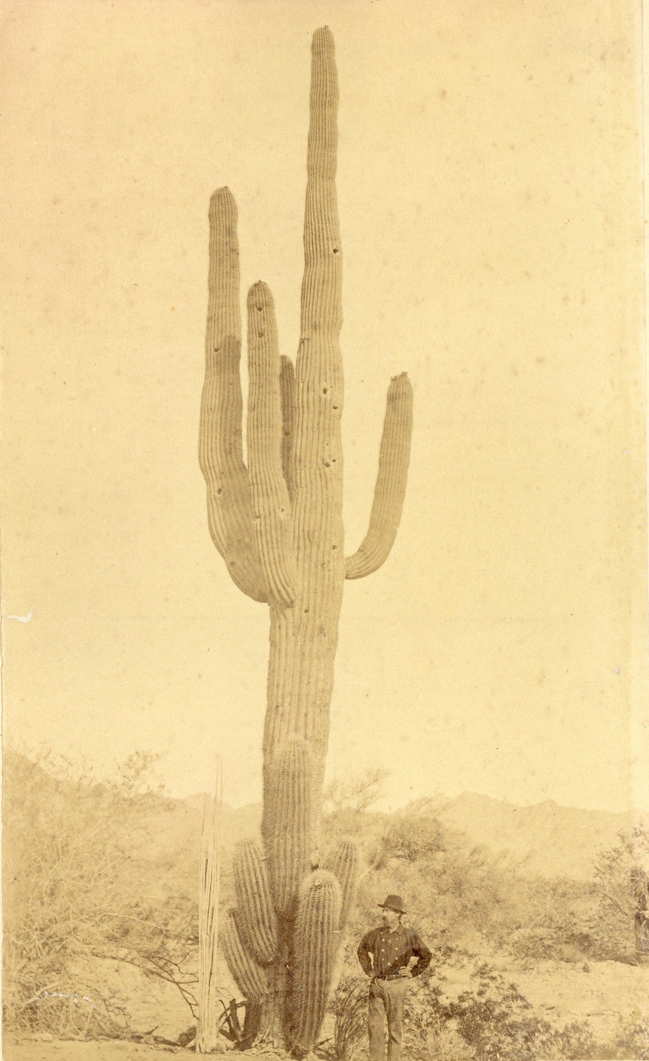 ELIAS A BONINE (1843-1916), 16 photographs of the American West, - Image 5 of 15