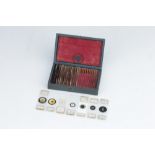 Small Case of Microscope Slides,