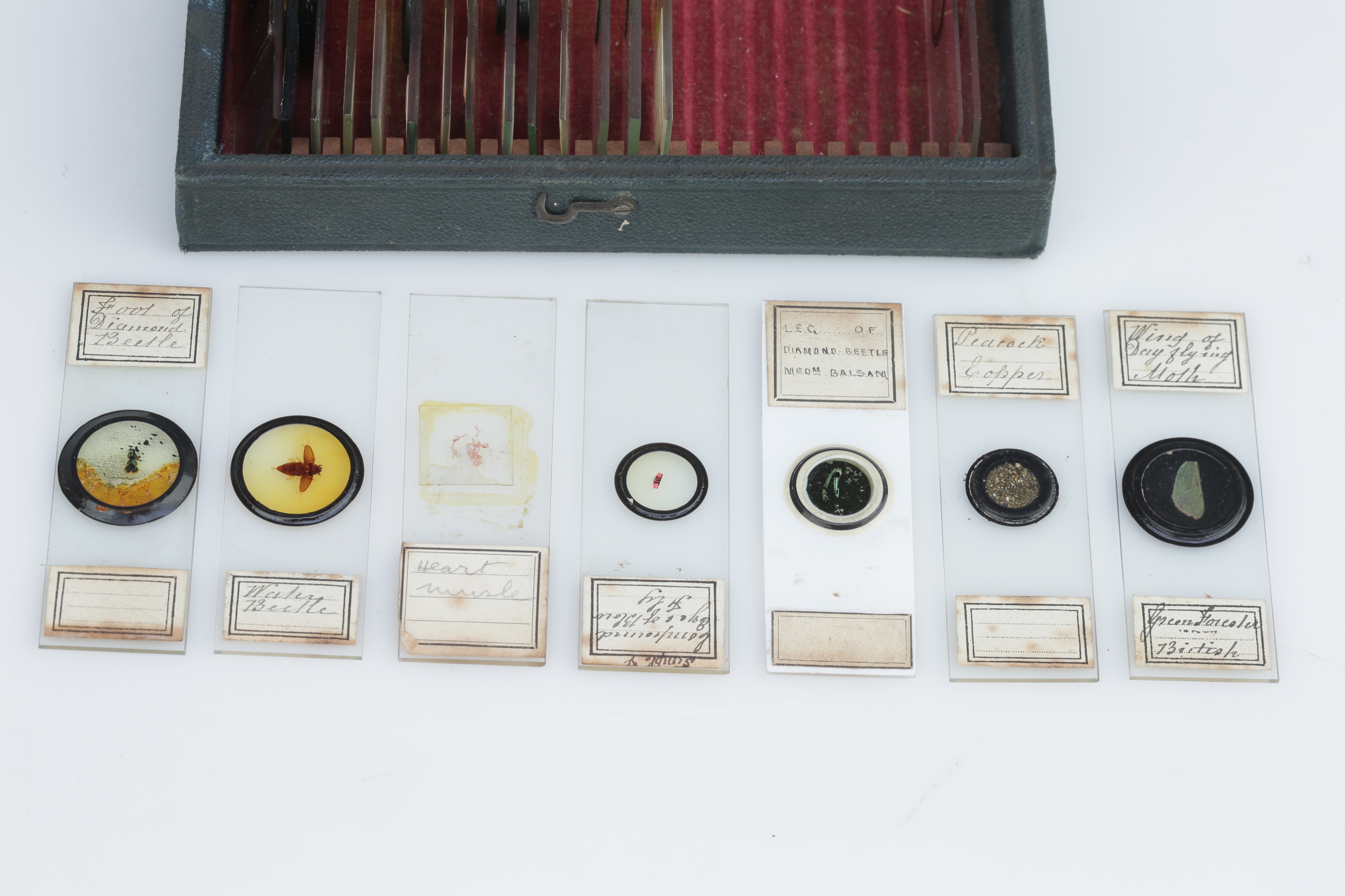 Small Case of Microscope Slides, - Image 2 of 3