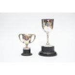 Two P&S Trophies,