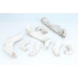* Macabre Collection Medical Anatomical Casts of Limbs,