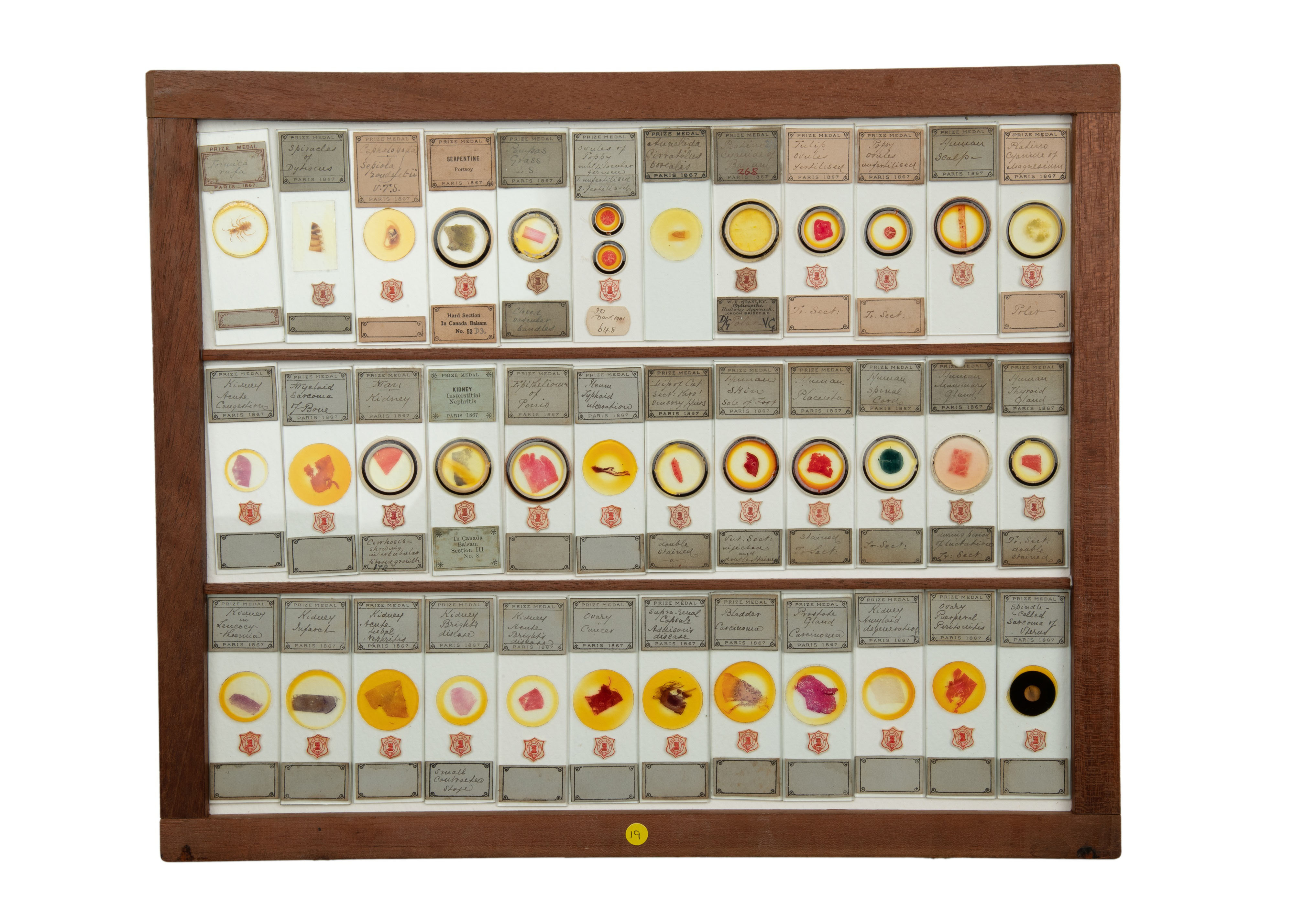 An Exceptional Single Owner Collection Of Victorian & Later Microscope Slides - Image 43 of 92